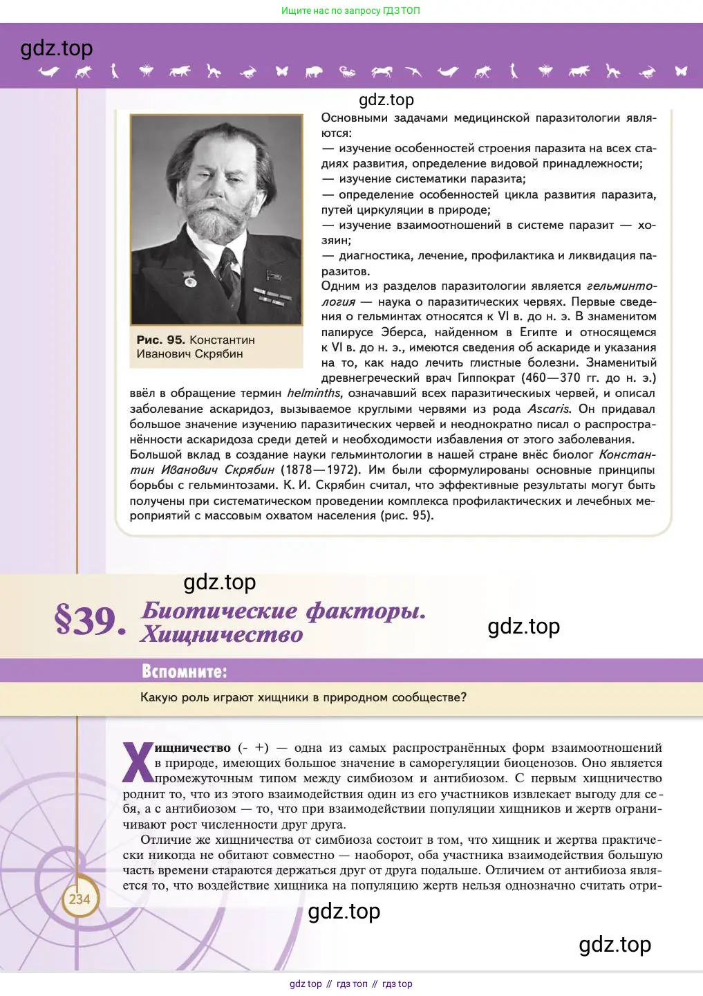 Биология, 11 класс Учебник, авторы: Пасечник Владимир Васильевич, Каменский Андрей Александрович, Рубцов Александр Михайлович, Швецов Глеб Геннадьевич, Абовян Леван Арташесович, Гапонюк Зоя Георгиевна, издательство Просвещение, Москва, 2023, страница 234
