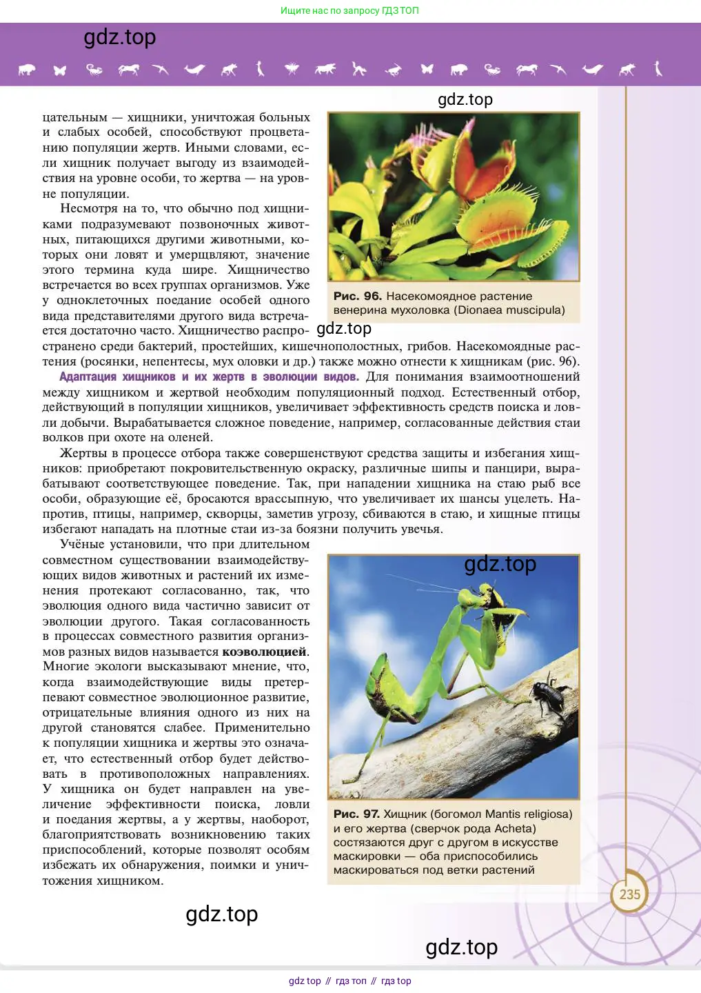 Биология, 11 класс Учебник, авторы: Пасечник Владимир Васильевич, Каменский Андрей Александрович, Рубцов Александр Михайлович, Швецов Глеб Геннадьевич, Абовян Леван Арташесович, Гапонюк Зоя Георгиевна, издательство Просвещение, Москва, 2023, страница 235