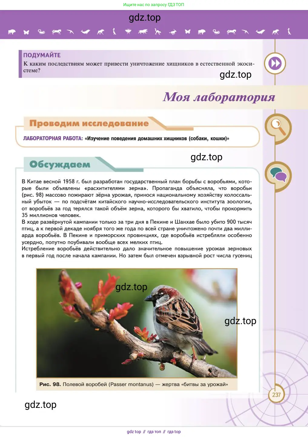 Биология, 11 класс Учебник, авторы: Пасечник Владимир Васильевич, Каменский Андрей Александрович, Рубцов Александр Михайлович, Швецов Глеб Геннадьевич, Абовян Леван Арташесович, Гапонюк Зоя Георгиевна, издательство Просвещение, Москва, 2023, страница 237