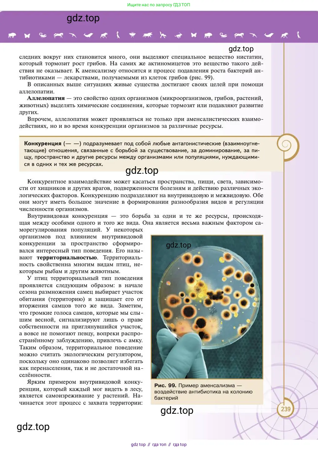 Биология, 11 класс Учебник, авторы: Пасечник Владимир Васильевич, Каменский Андрей Александрович, Рубцов Александр Михайлович, Швецов Глеб Геннадьевич, Абовян Леван Арташесович, Гапонюк Зоя Георгиевна, издательство Просвещение, Москва, 2023, страница 239