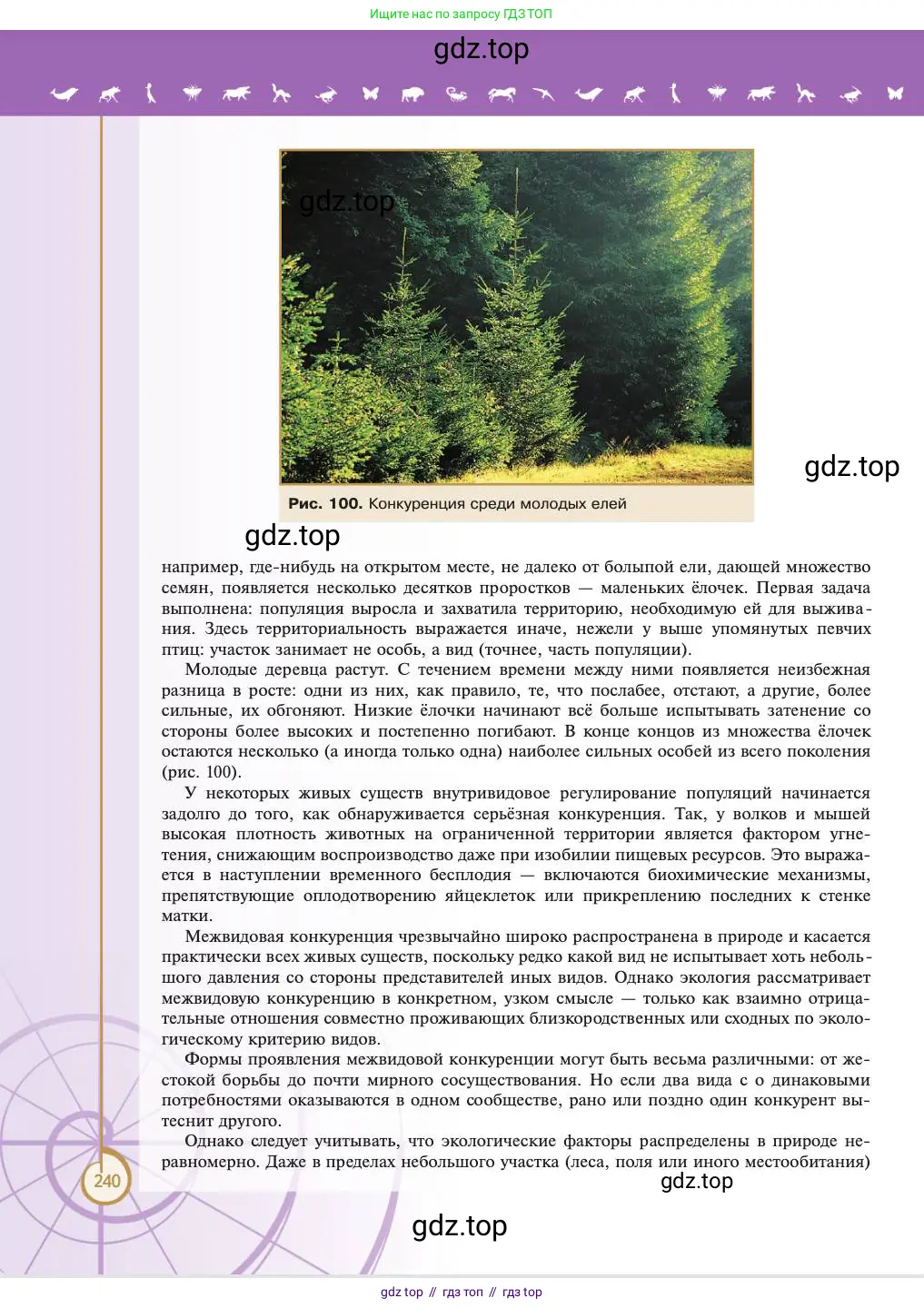 Биология, 11 класс Учебник, авторы: Пасечник Владимир Васильевич, Каменский Андрей Александрович, Рубцов Александр Михайлович, Швецов Глеб Геннадьевич, Абовян Леван Арташесович, Гапонюк Зоя Георгиевна, издательство Просвещение, Москва, 2023, страница 240