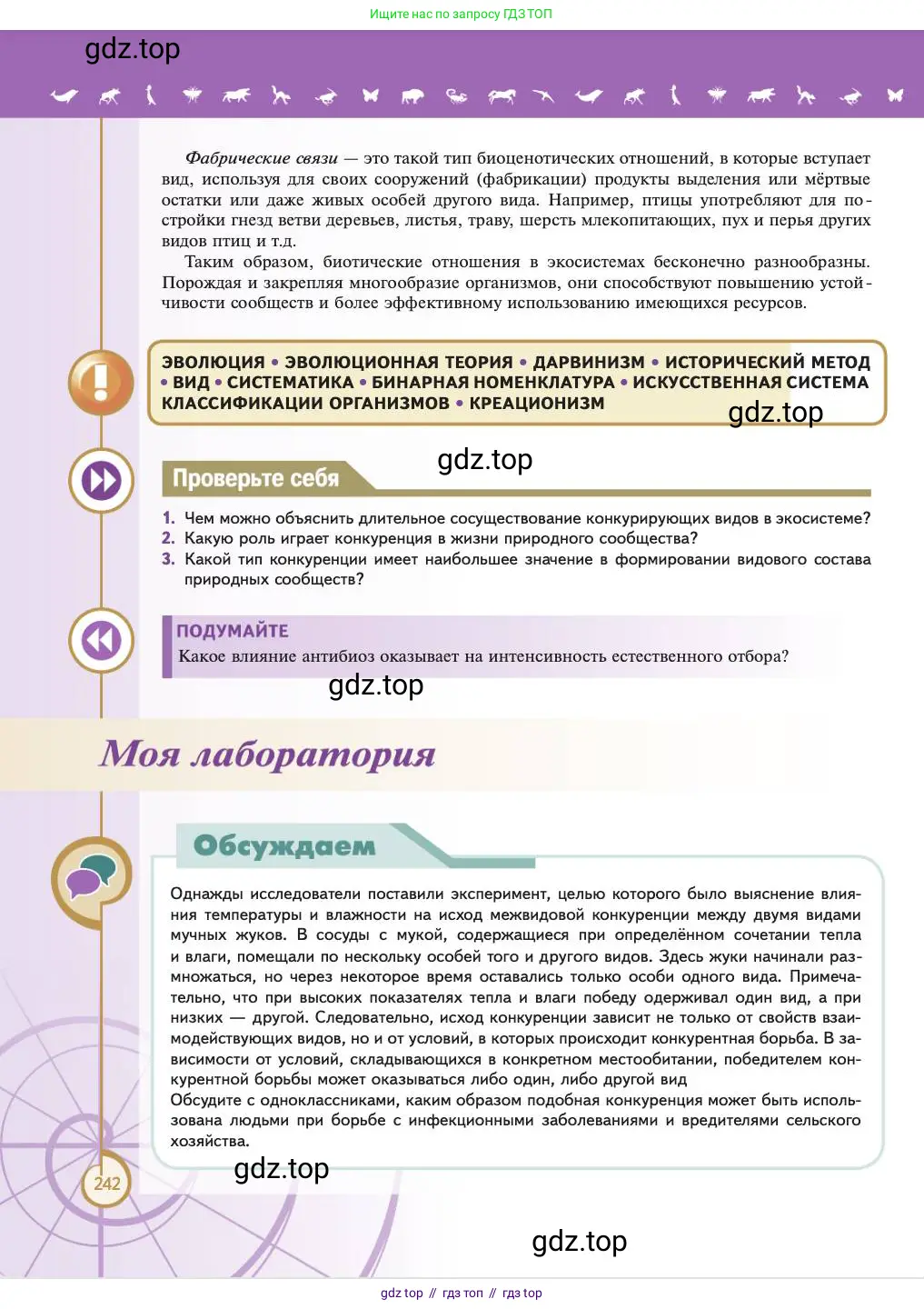 Биология, 11 класс Учебник, авторы: Пасечник Владимир Васильевич, Каменский Андрей Александрович, Рубцов Александр Михайлович, Швецов Глеб Геннадьевич, Абовян Леван Арташесович, Гапонюк Зоя Георгиевна, издательство Просвещение, Москва, 2023, страница 242