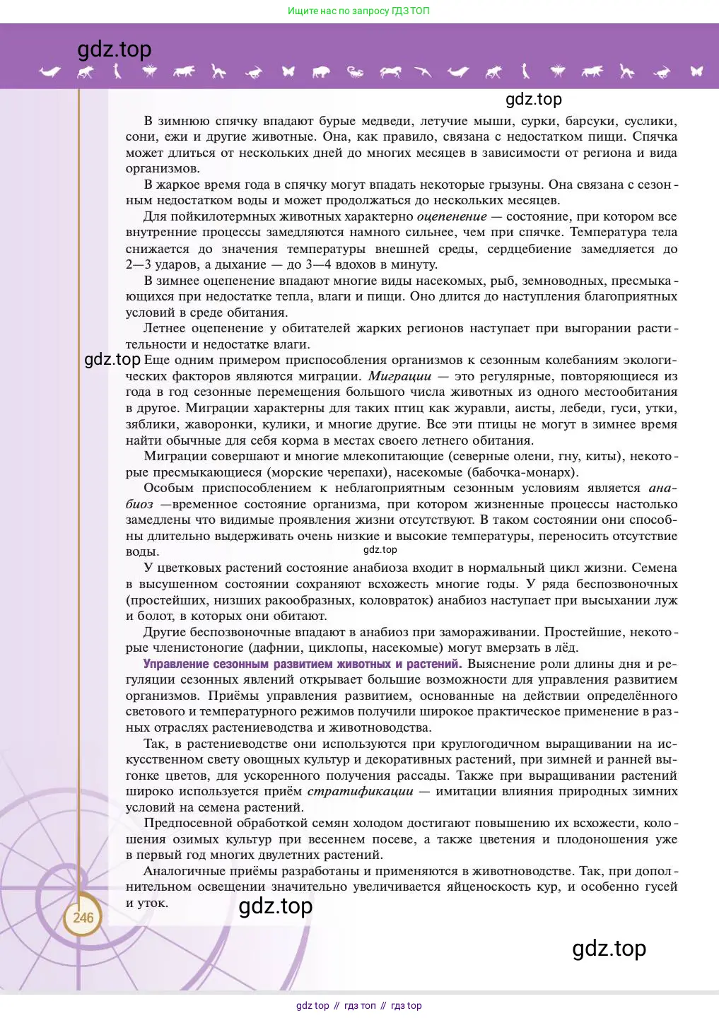 Биология, 11 класс Учебник, авторы: Пасечник Владимир Васильевич, Каменский Андрей Александрович, Рубцов Александр Михайлович, Швецов Глеб Геннадьевич, Абовян Леван Арташесович, Гапонюк Зоя Георгиевна, издательство Просвещение, Москва, 2023, страница 246