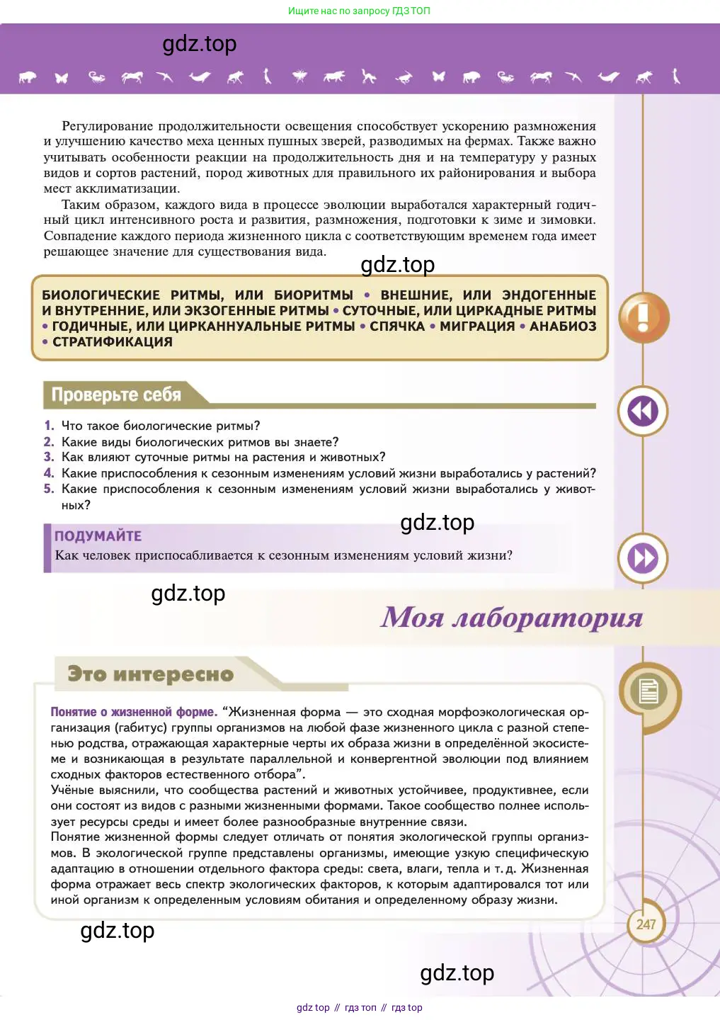 Биология, 11 класс Учебник, авторы: Пасечник Владимир Васильевич, Каменский Андрей Александрович, Рубцов Александр Михайлович, Швецов Глеб Геннадьевич, Абовян Леван Арташесович, Гапонюк Зоя Георгиевна, издательство Просвещение, Москва, 2023, страница 247