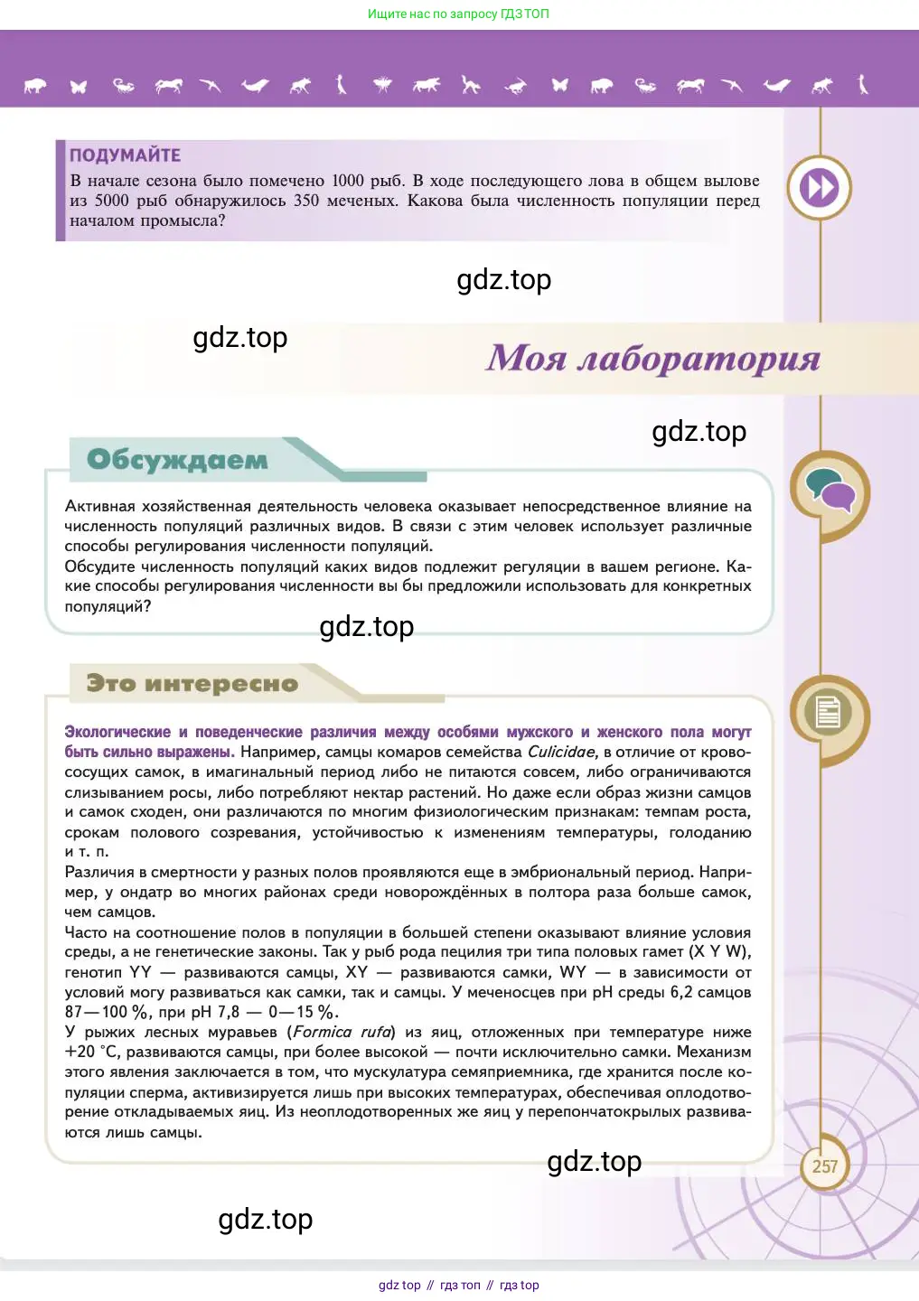 Биология, 11 класс Учебник, авторы: Пасечник Владимир Васильевич, Каменский Андрей Александрович, Рубцов Александр Михайлович, Швецов Глеб Геннадьевич, Абовян Леван Арташесович, Гапонюк Зоя Георгиевна, издательство Просвещение, Москва, 2023, страница 257