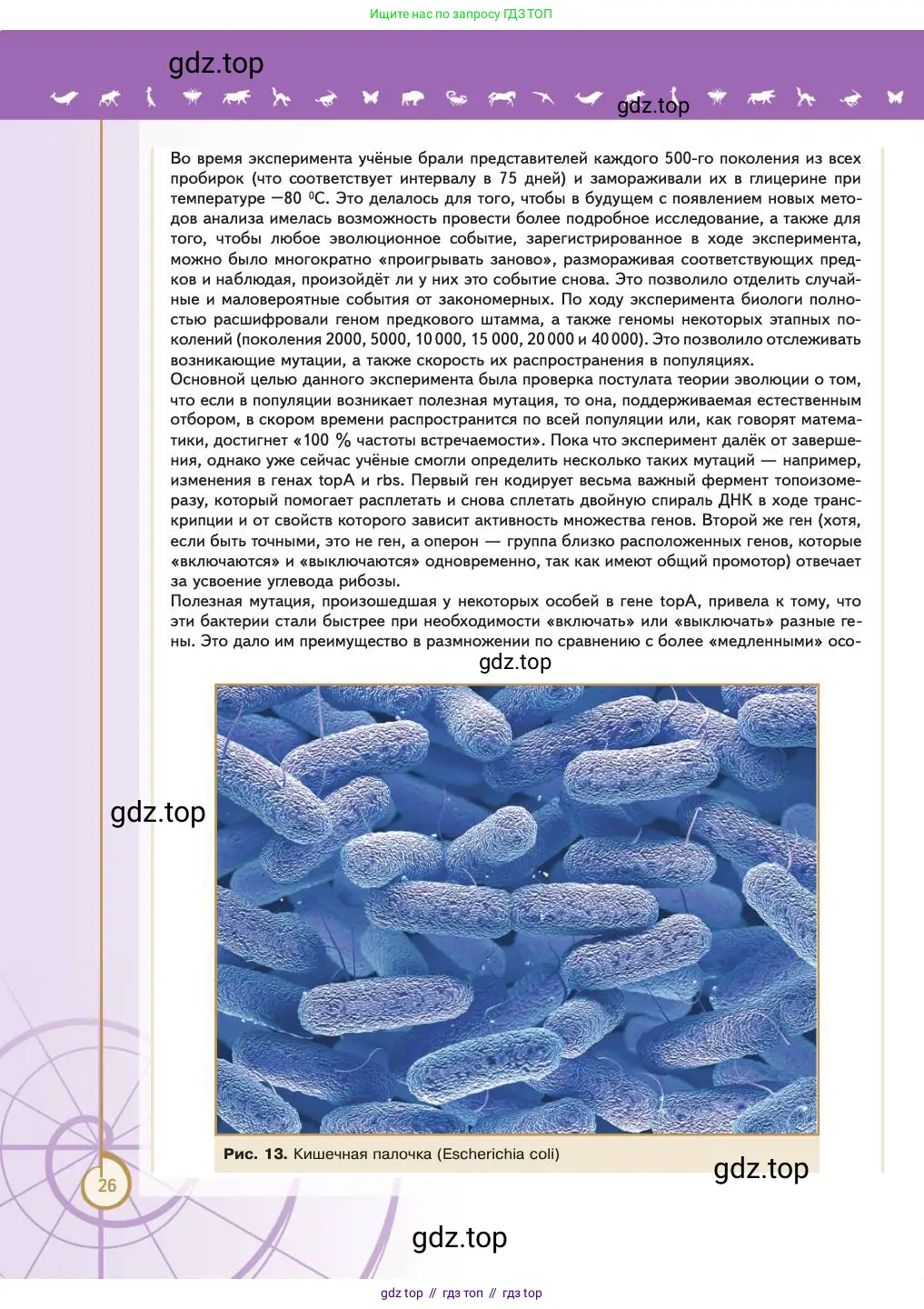 Биология, 11 класс Учебник, авторы: Пасечник Владимир Васильевич, Каменский Андрей Александрович, Рубцов Александр Михайлович, Швецов Глеб Геннадьевич, Абовян Леван Арташесович, Гапонюк Зоя Георгиевна, издательство Просвещение, Москва, 2023, страница 26