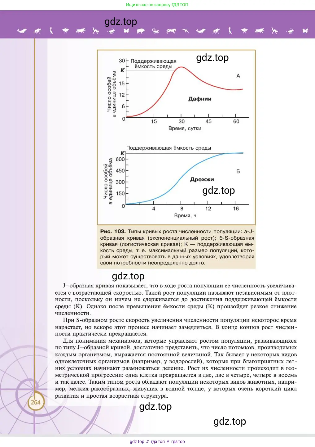 Биология, 11 класс Учебник, авторы: Пасечник Владимир Васильевич, Каменский Андрей Александрович, Рубцов Александр Михайлович, Швецов Глеб Геннадьевич, Абовян Леван Арташесович, Гапонюк Зоя Георгиевна, издательство Просвещение, Москва, 2023, страница 264