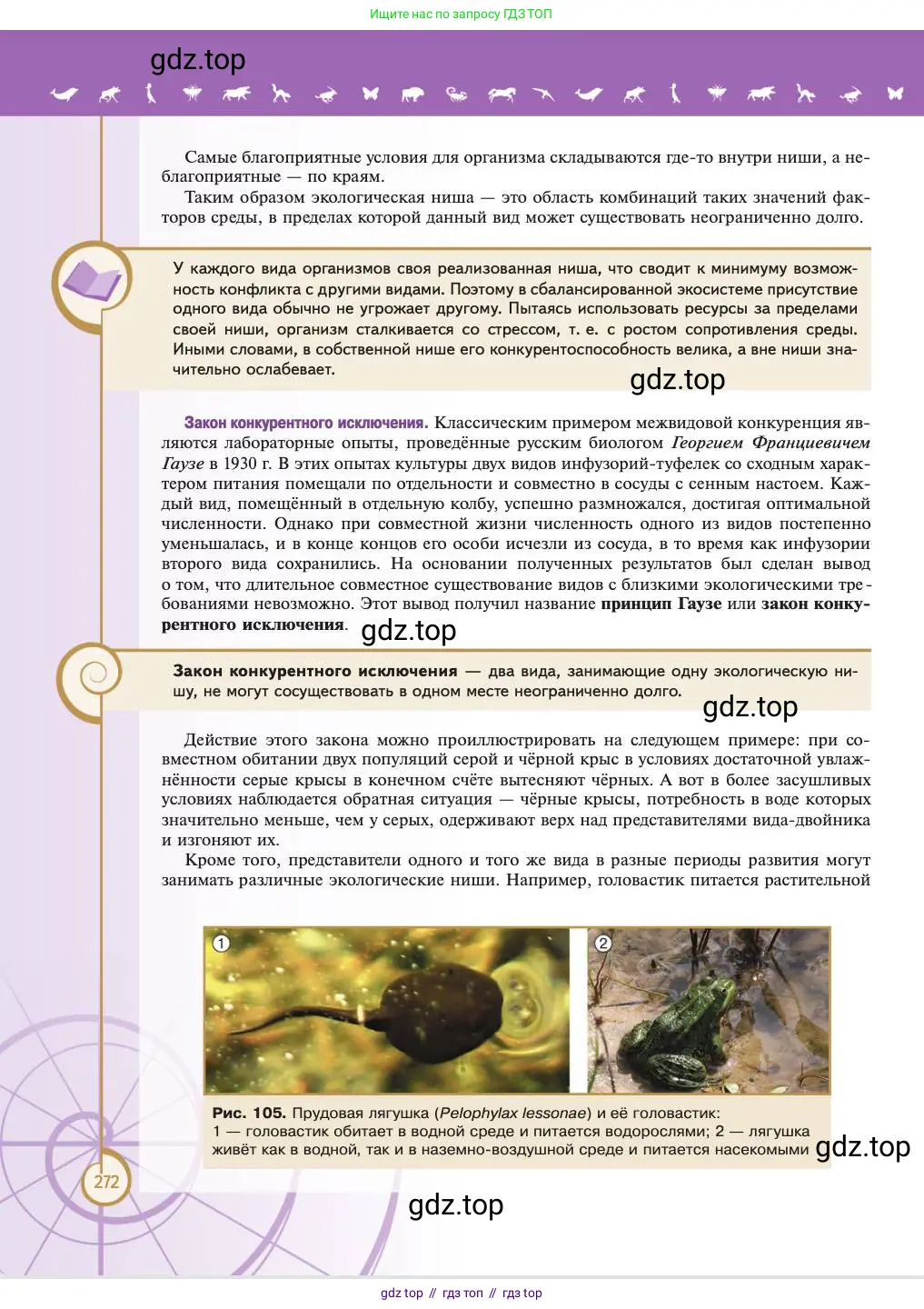 Биология, 11 класс Учебник, авторы: Пасечник Владимир Васильевич, Каменский Андрей Александрович, Рубцов Александр Михайлович, Швецов Глеб Геннадьевич, Абовян Леван Арташесович, Гапонюк Зоя Георгиевна, издательство Просвещение, Москва, 2023, страница 272