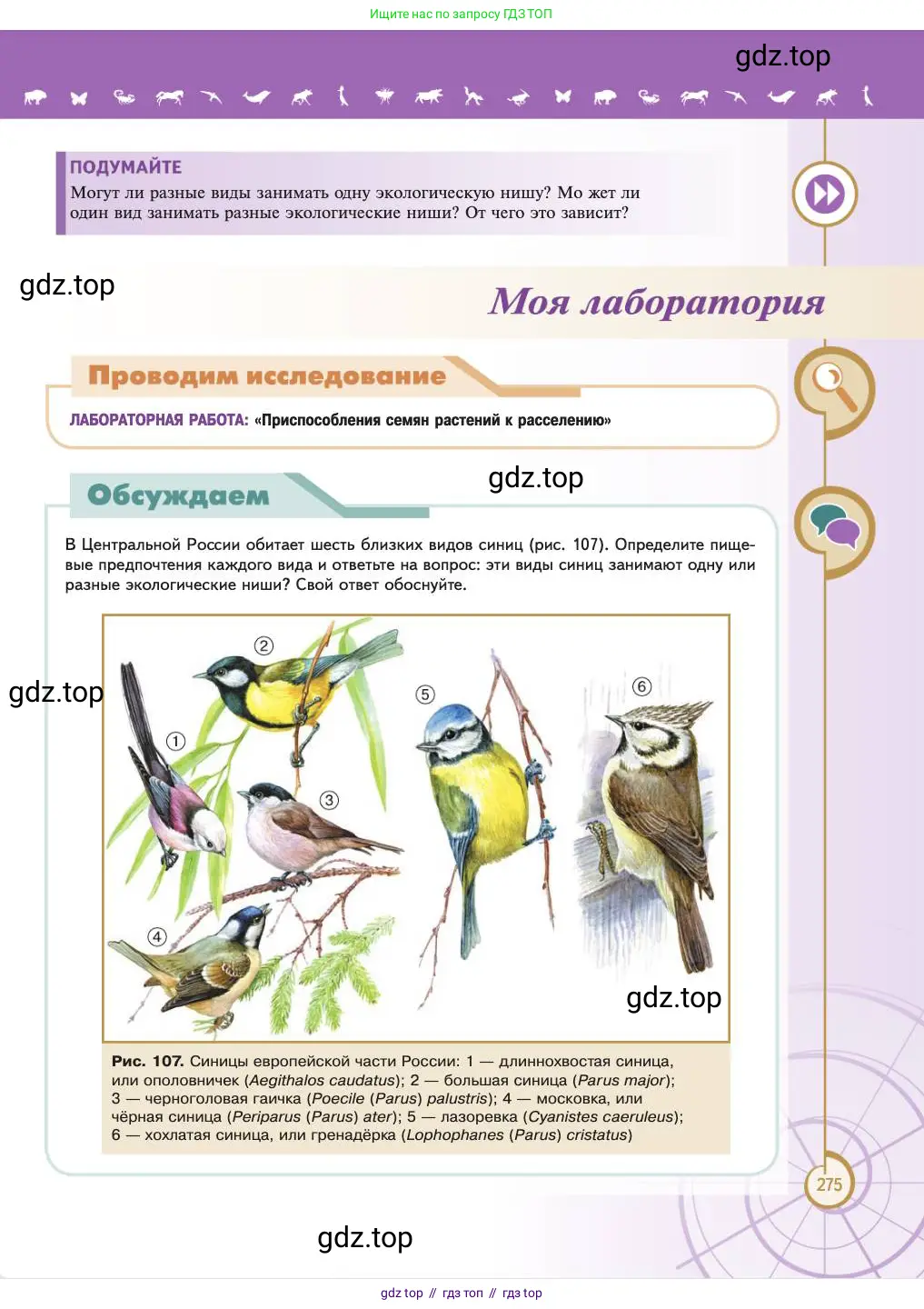 Биология, 11 класс Учебник, авторы: Пасечник Владимир Васильевич, Каменский Андрей Александрович, Рубцов Александр Михайлович, Швецов Глеб Геннадьевич, Абовян Леван Арташесович, Гапонюк Зоя Георгиевна, издательство Просвещение, Москва, 2023, страница 275