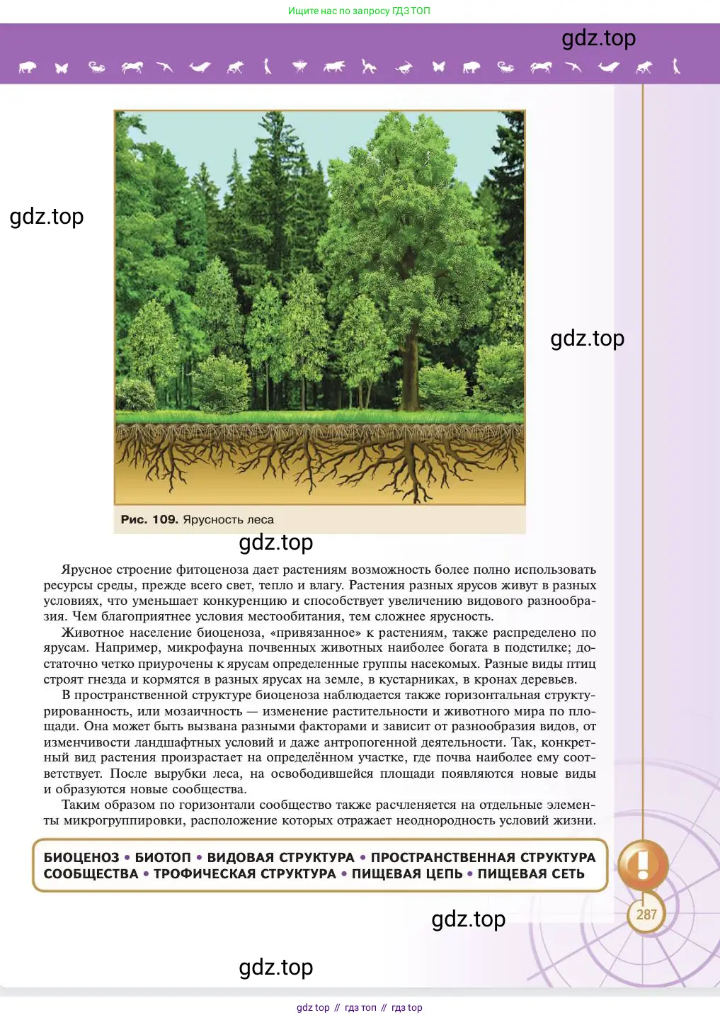 Биология, 11 класс Учебник, авторы: Пасечник Владимир Васильевич, Каменский Андрей Александрович, Рубцов Александр Михайлович, Швецов Глеб Геннадьевич, Абовян Леван Арташесович, Гапонюк Зоя Георгиевна, издательство Просвещение, Москва, 2023, страница 287