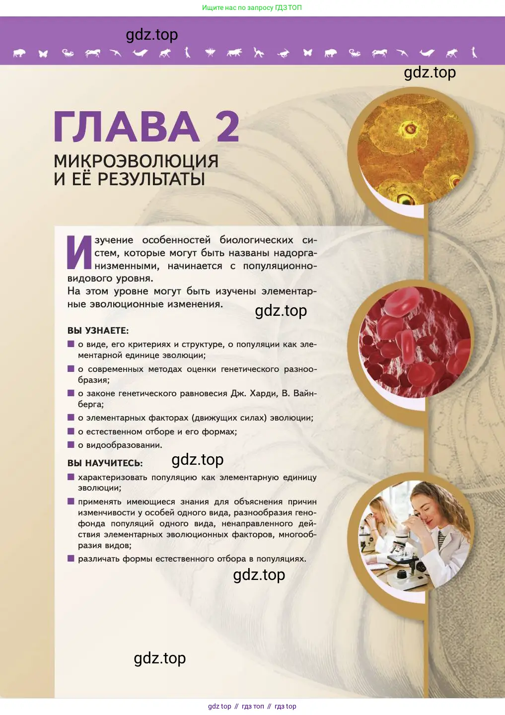 Биология, 11 класс Учебник, авторы: Пасечник Владимир Васильевич, Каменский Андрей Александрович, Рубцов Александр Михайлович, Швецов Глеб Геннадьевич, Абовян Леван Арташесович, Гапонюк Зоя Георгиевна, издательство Просвещение, Москва, 2023, страница 29