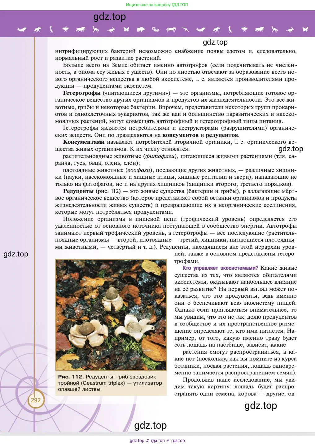 Биология, 11 класс Учебник, авторы: Пасечник Владимир Васильевич, Каменский Андрей Александрович, Рубцов Александр Михайлович, Швецов Глеб Геннадьевич, Абовян Леван Арташесович, Гапонюк Зоя Георгиевна, издательство Просвещение, Москва, 2023, страница 292