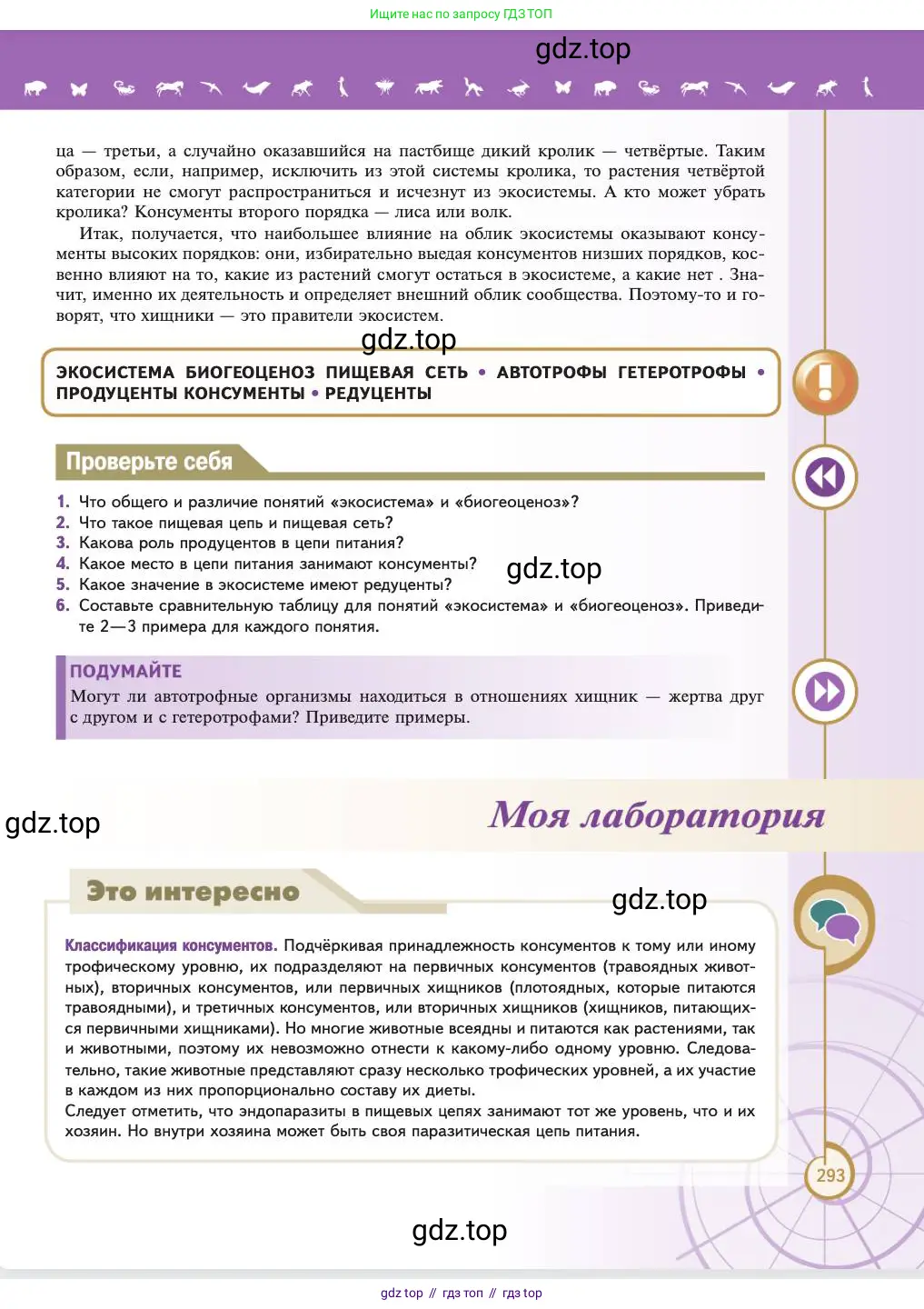 Биология, 11 класс Учебник, авторы: Пасечник Владимир Васильевич, Каменский Андрей Александрович, Рубцов Александр Михайлович, Швецов Глеб Геннадьевич, Абовян Леван Арташесович, Гапонюк Зоя Георгиевна, издательство Просвещение, Москва, 2023, страница 293