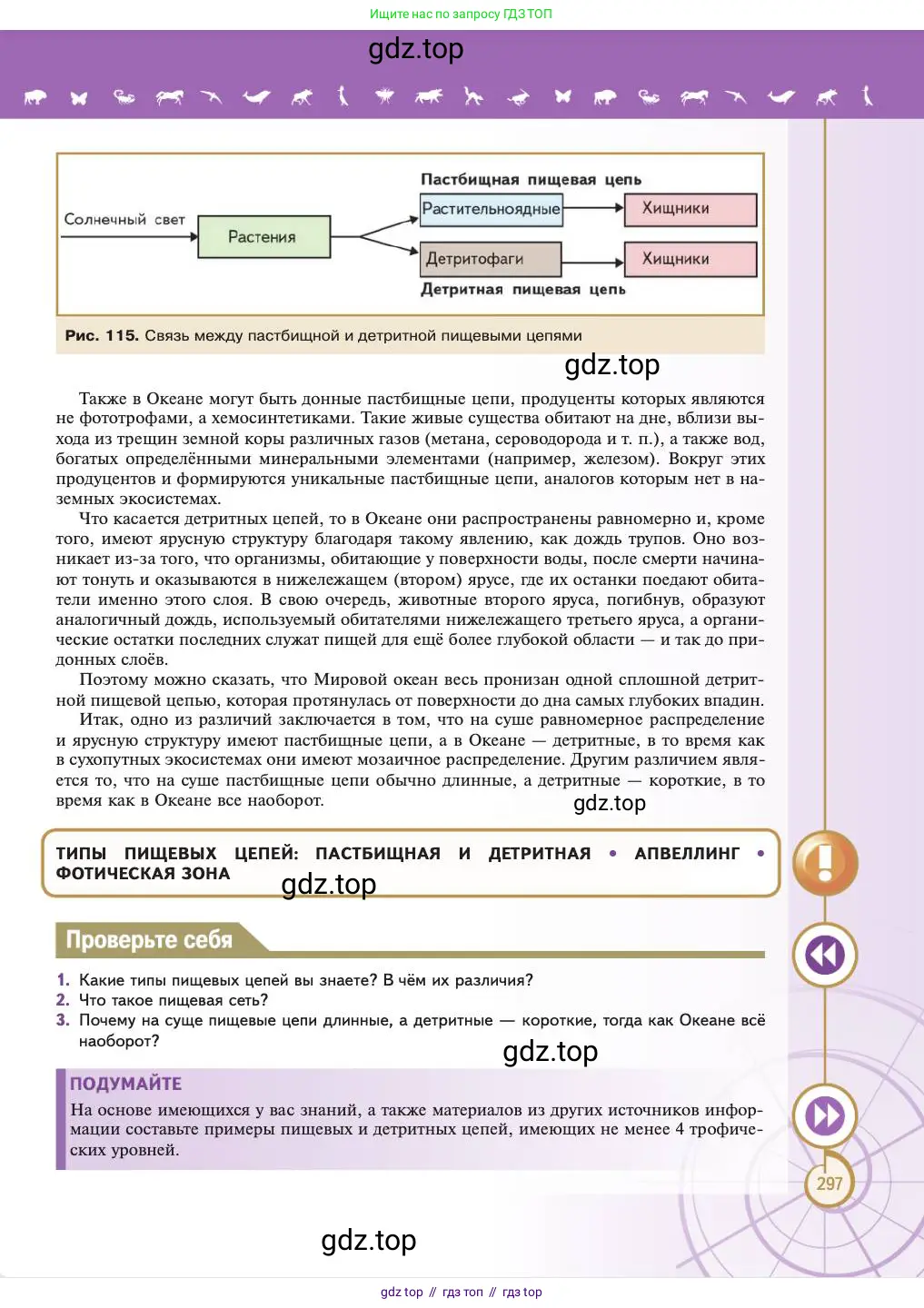 Биология, 11 класс Учебник, авторы: Пасечник Владимир Васильевич, Каменский Андрей Александрович, Рубцов Александр Михайлович, Швецов Глеб Геннадьевич, Абовян Леван Арташесович, Гапонюк Зоя Георгиевна, издательство Просвещение, Москва, 2023, страница 297