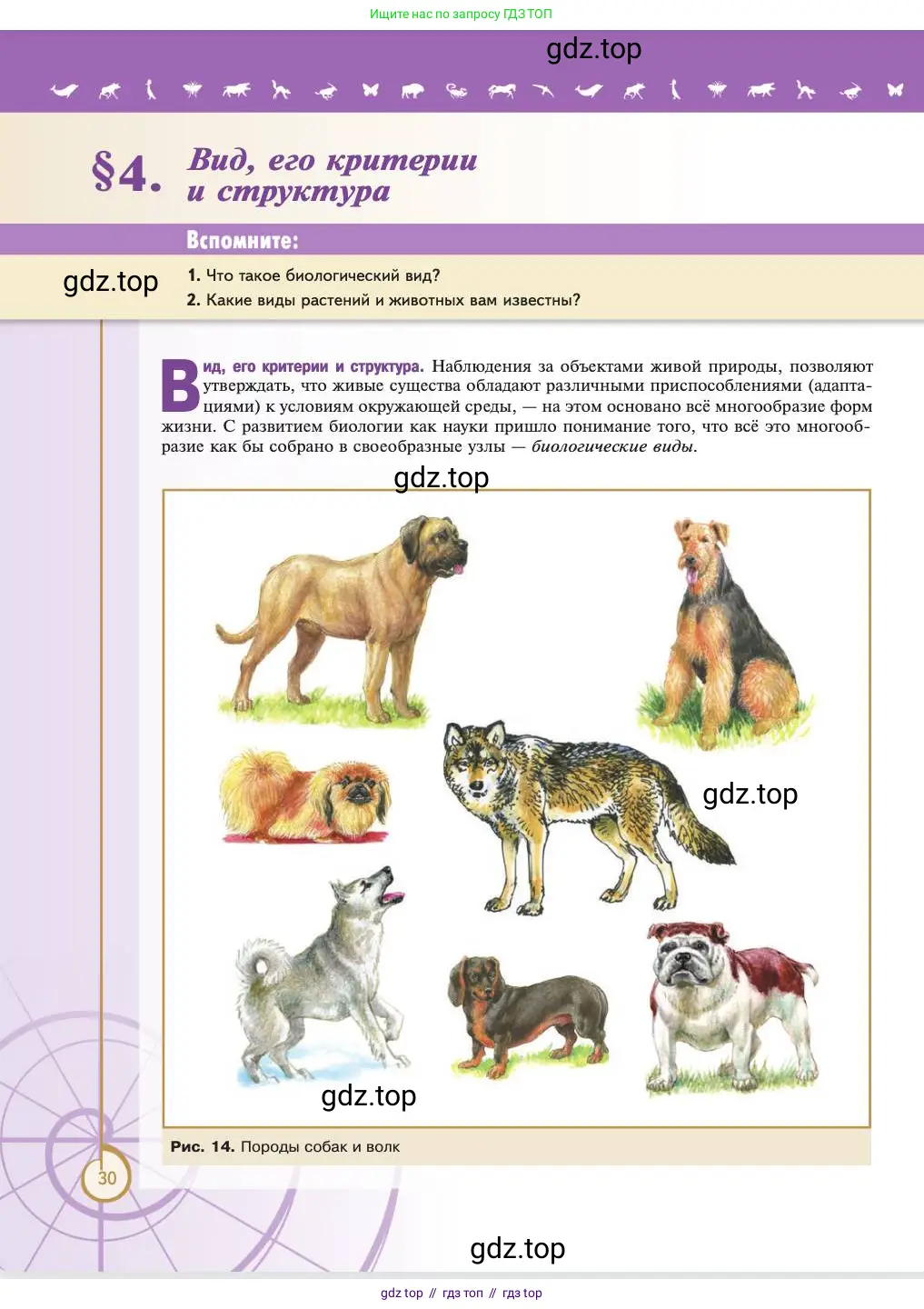 Биология, 11 класс Учебник, авторы: Пасечник Владимир Васильевич, Каменский Андрей Александрович, Рубцов Александр Михайлович, Швецов Глеб Геннадьевич, Абовян Леван Арташесович, Гапонюк Зоя Георгиевна, издательство Просвещение, Москва, 2023, страница 30