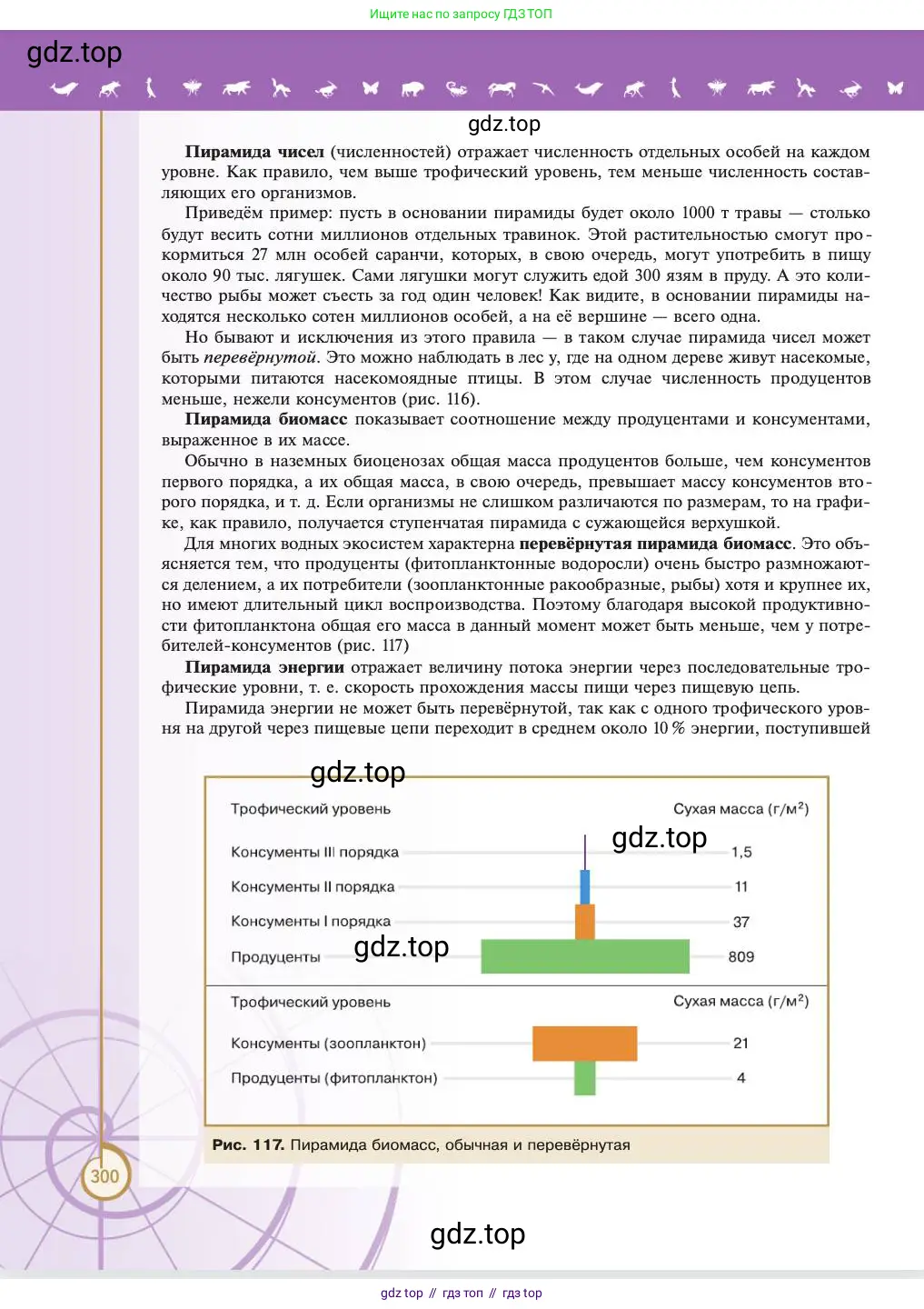 Биология, 11 класс Учебник, авторы: Пасечник Владимир Васильевич, Каменский Андрей Александрович, Рубцов Александр Михайлович, Швецов Глеб Геннадьевич, Абовян Леван Арташесович, Гапонюк Зоя Георгиевна, издательство Просвещение, Москва, 2023, страница 300