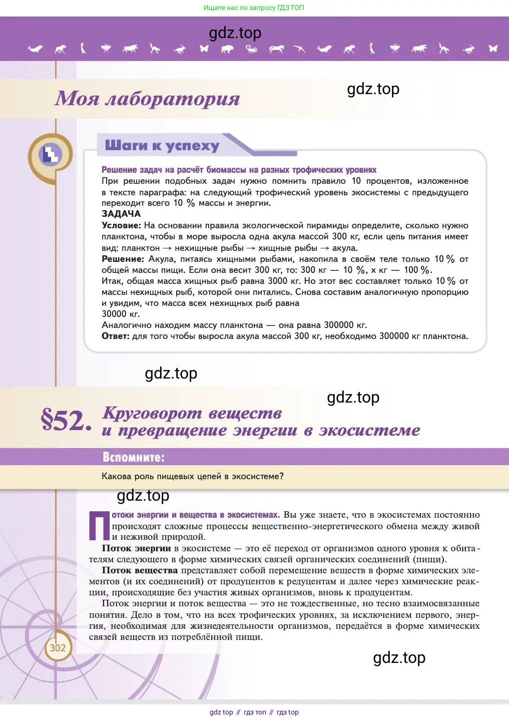 Биология, 11 класс Учебник, авторы: Пасечник Владимир Васильевич, Каменский Андрей Александрович, Рубцов Александр Михайлович, Швецов Глеб Геннадьевич, Абовян Леван Арташесович, Гапонюк Зоя Георгиевна, издательство Просвещение, Москва, 2023, страница 302