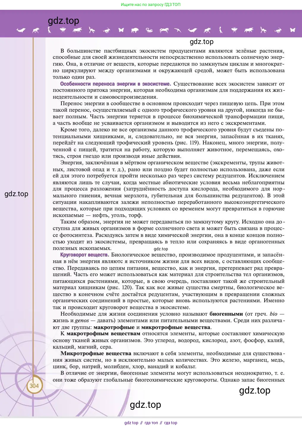 Биология, 11 класс Учебник, авторы: Пасечник Владимир Васильевич, Каменский Андрей Александрович, Рубцов Александр Михайлович, Швецов Глеб Геннадьевич, Абовян Леван Арташесович, Гапонюк Зоя Георгиевна, издательство Просвещение, Москва, 2023, страница 304