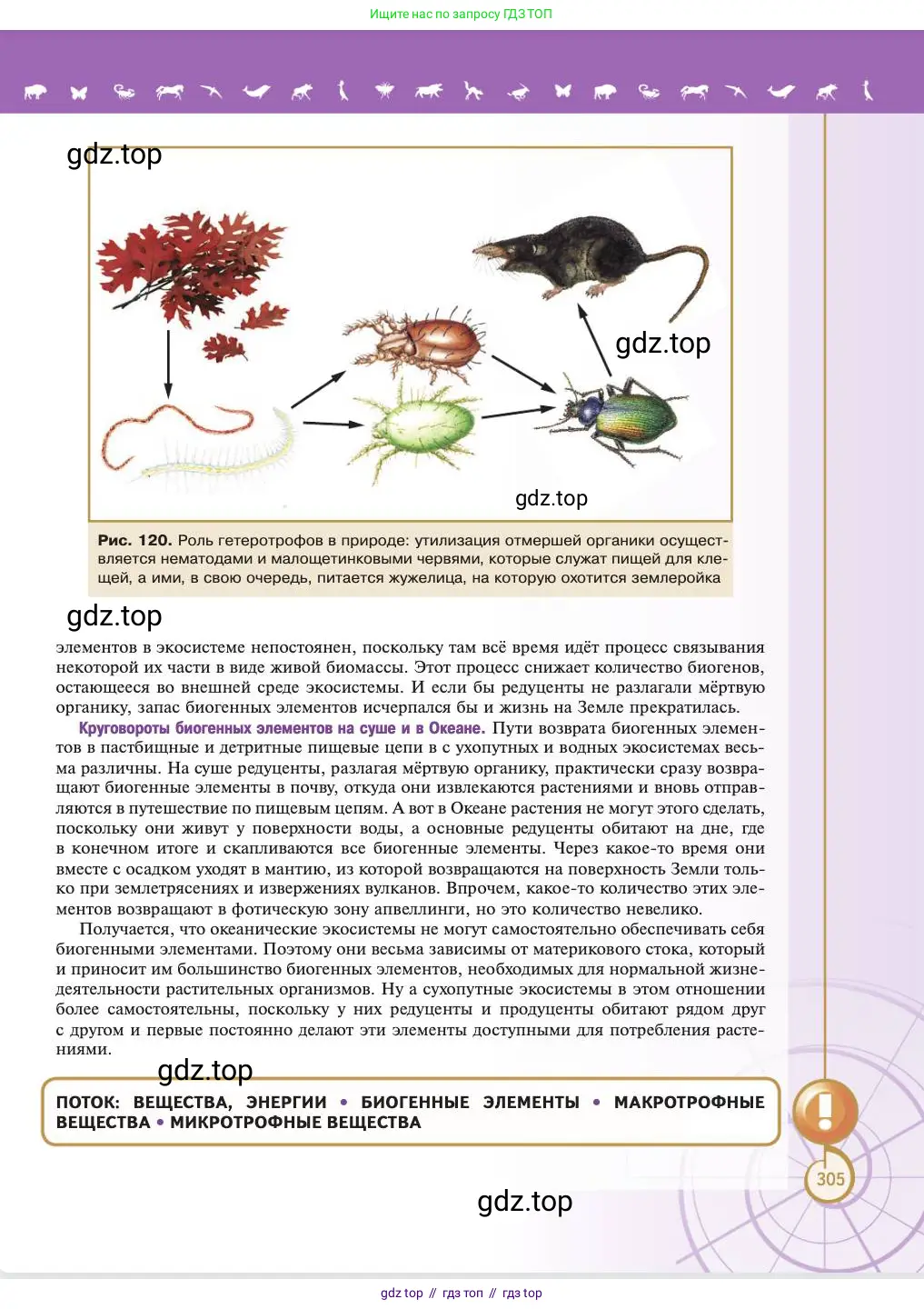 Биология, 11 класс Учебник, авторы: Пасечник Владимир Васильевич, Каменский Андрей Александрович, Рубцов Александр Михайлович, Швецов Глеб Геннадьевич, Абовян Леван Арташесович, Гапонюк Зоя Георгиевна, издательство Просвещение, Москва, 2023, страница 305