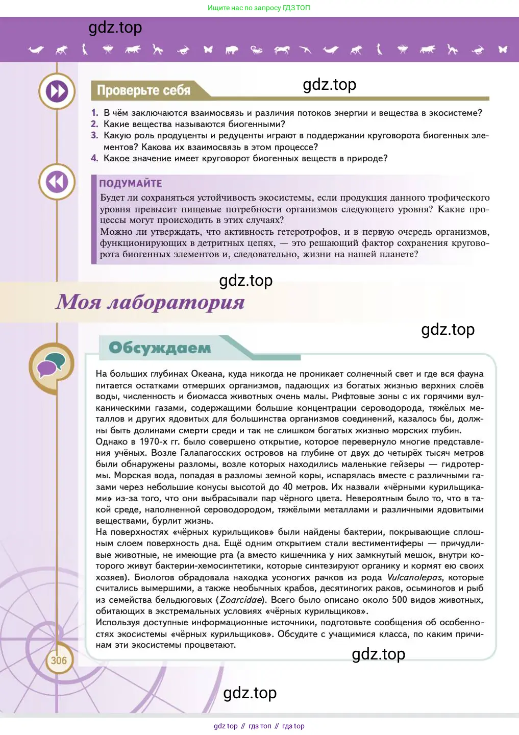 Биология, 11 класс Учебник, авторы: Пасечник Владимир Васильевич, Каменский Андрей Александрович, Рубцов Александр Михайлович, Швецов Глеб Геннадьевич, Абовян Леван Арташесович, Гапонюк Зоя Георгиевна, издательство Просвещение, Москва, 2023, страница 306