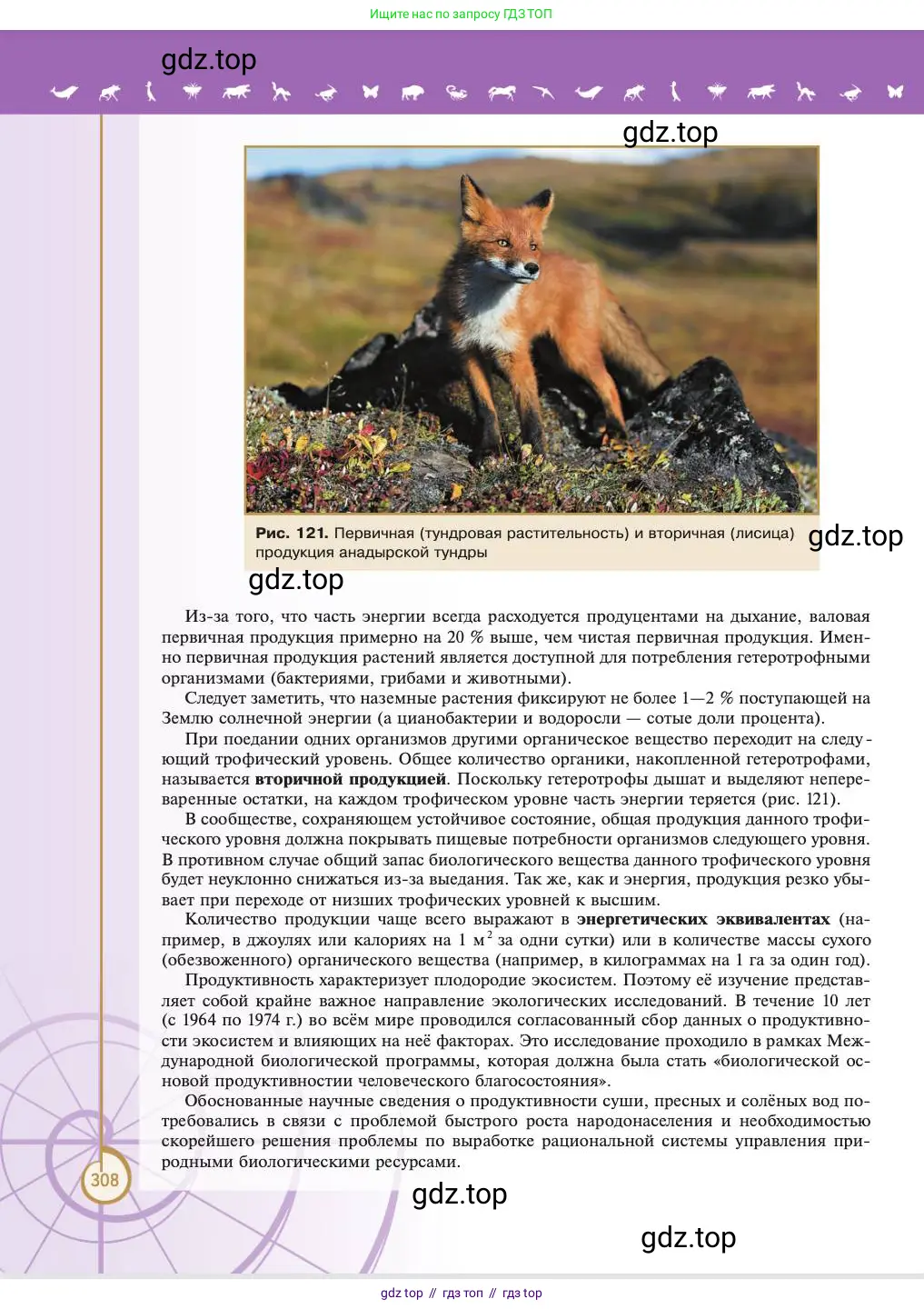 Биология, 11 класс Учебник, авторы: Пасечник Владимир Васильевич, Каменский Андрей Александрович, Рубцов Александр Михайлович, Швецов Глеб Геннадьевич, Абовян Леван Арташесович, Гапонюк Зоя Георгиевна, издательство Просвещение, Москва, 2023, страница 308