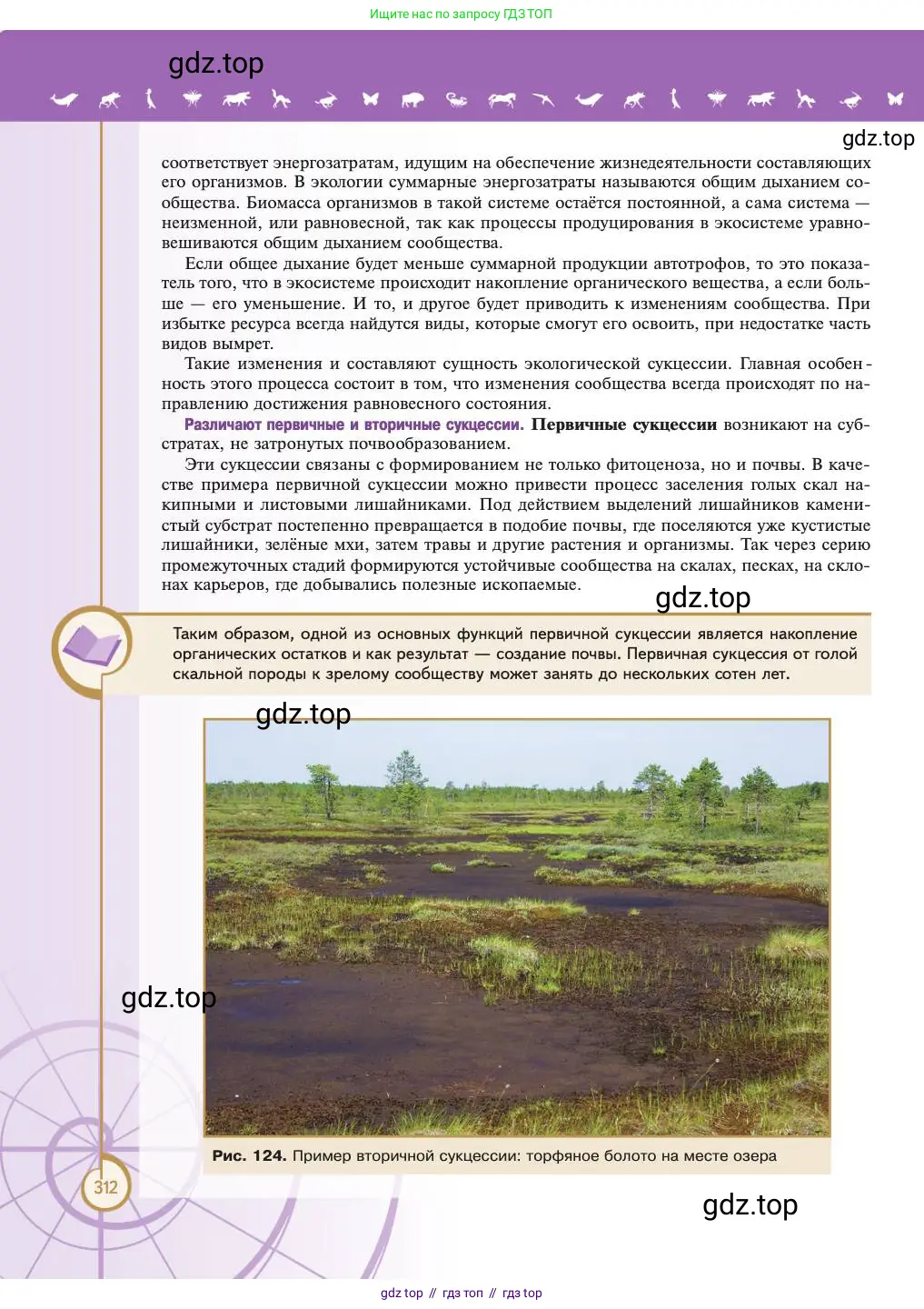 Биология, 11 класс Учебник, авторы: Пасечник Владимир Васильевич, Каменский Андрей Александрович, Рубцов Александр Михайлович, Швецов Глеб Геннадьевич, Абовян Леван Арташесович, Гапонюк Зоя Георгиевна, издательство Просвещение, Москва, 2023, страница 312