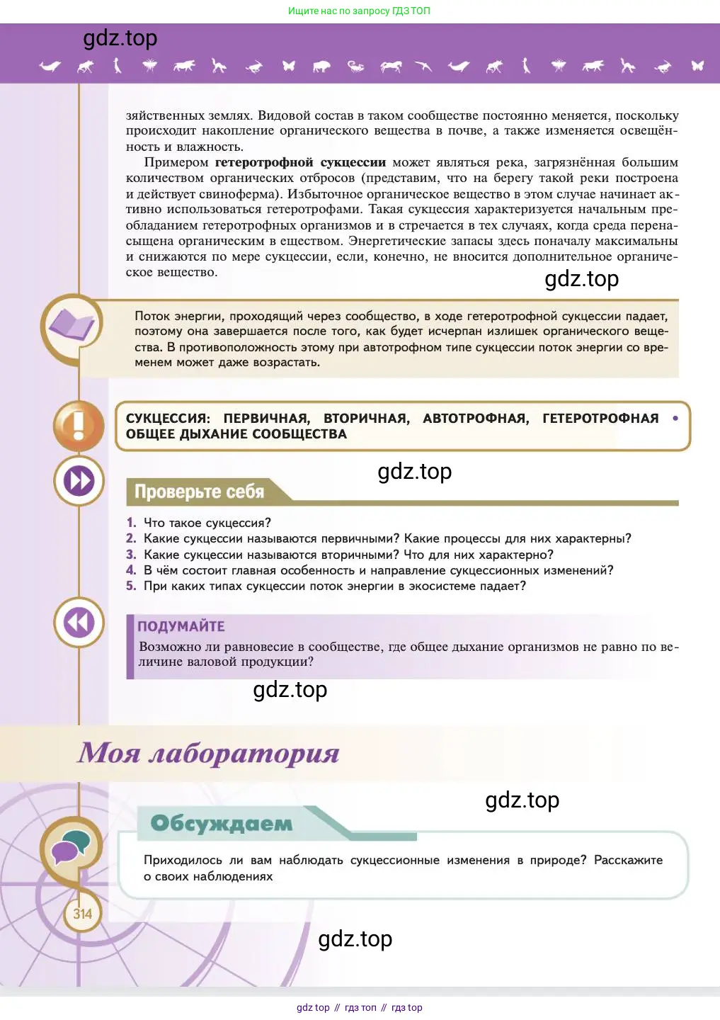 Биология, 11 класс Учебник, авторы: Пасечник Владимир Васильевич, Каменский Андрей Александрович, Рубцов Александр Михайлович, Швецов Глеб Геннадьевич, Абовян Леван Арташесович, Гапонюк Зоя Георгиевна, издательство Просвещение, Москва, 2023, страница 314