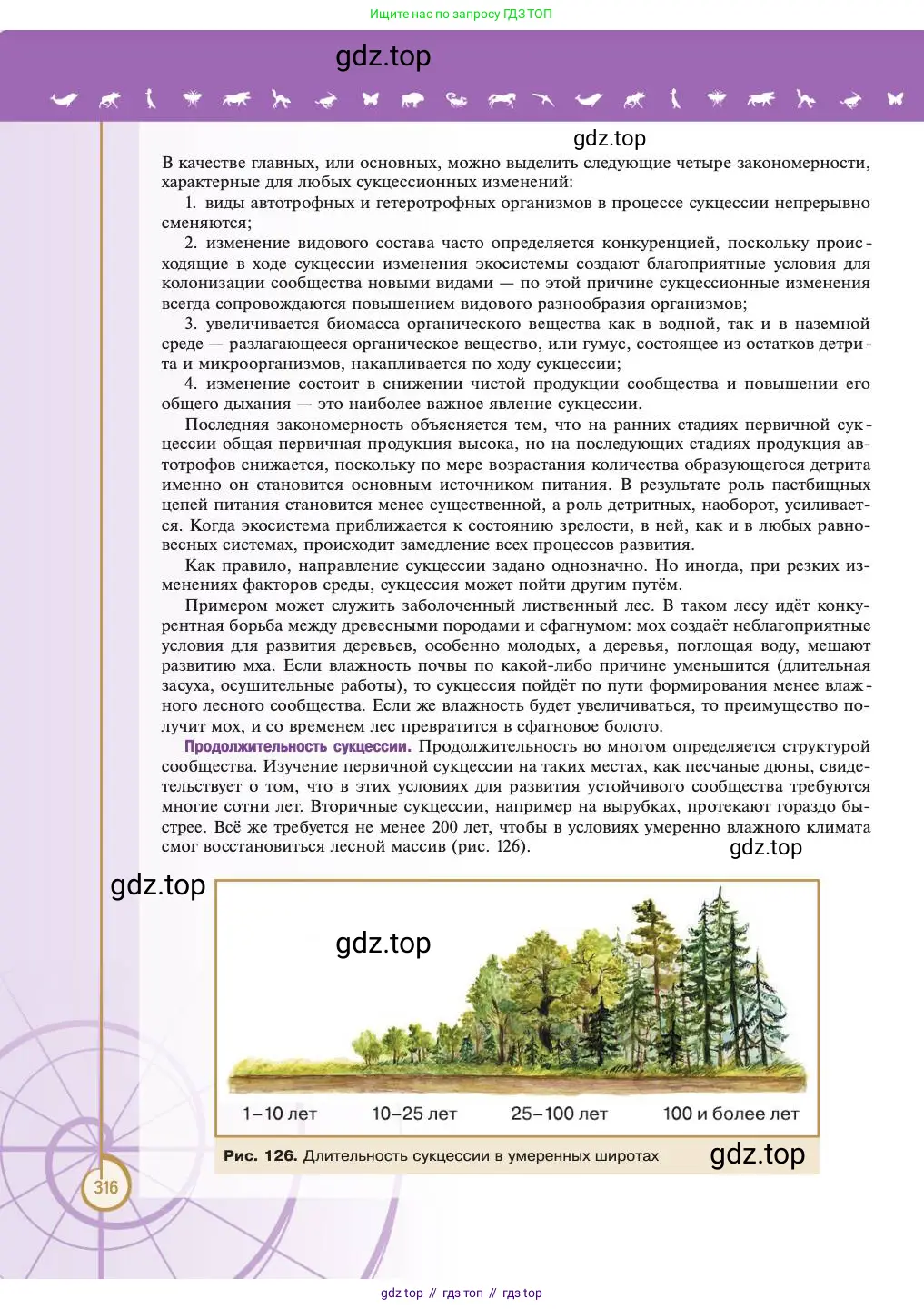 Биология, 11 класс Учебник, авторы: Пасечник Владимир Васильевич, Каменский Андрей Александрович, Рубцов Александр Михайлович, Швецов Глеб Геннадьевич, Абовян Леван Арташесович, Гапонюк Зоя Георгиевна, издательство Просвещение, Москва, 2023, страница 316