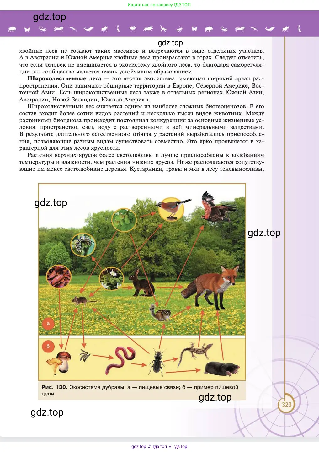 Биология, 11 класс Учебник, авторы: Пасечник Владимир Васильевич, Каменский Андрей Александрович, Рубцов Александр Михайлович, Швецов Глеб Геннадьевич, Абовян Леван Арташесович, Гапонюк Зоя Георгиевна, издательство Просвещение, Москва, 2023, страница 323