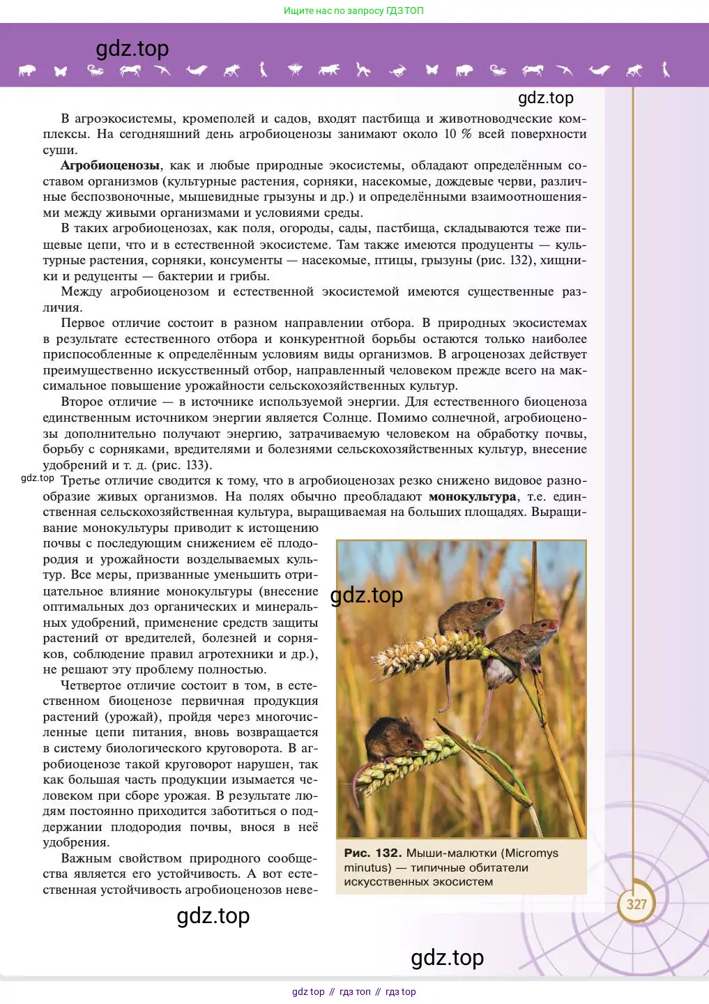 Биология, 11 класс Учебник, авторы: Пасечник Владимир Васильевич, Каменский Андрей Александрович, Рубцов Александр Михайлович, Швецов Глеб Геннадьевич, Абовян Леван Арташесович, Гапонюк Зоя Георгиевна, издательство Просвещение, Москва, 2023, страница 327