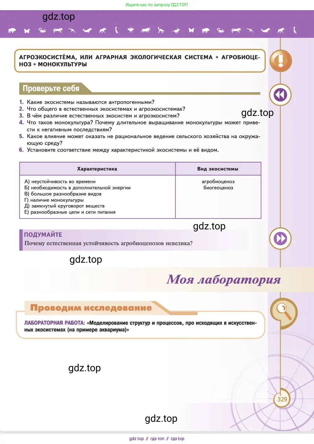 Биология, 11 класс Учебник, авторы: Пасечник Владимир Васильевич, Каменский Андрей Александрович, Рубцов Александр Михайлович, Швецов Глеб Геннадьевич, Абовян Леван Арташесович, Гапонюк Зоя Георгиевна, издательство Просвещение, Москва, 2023, страница 329
