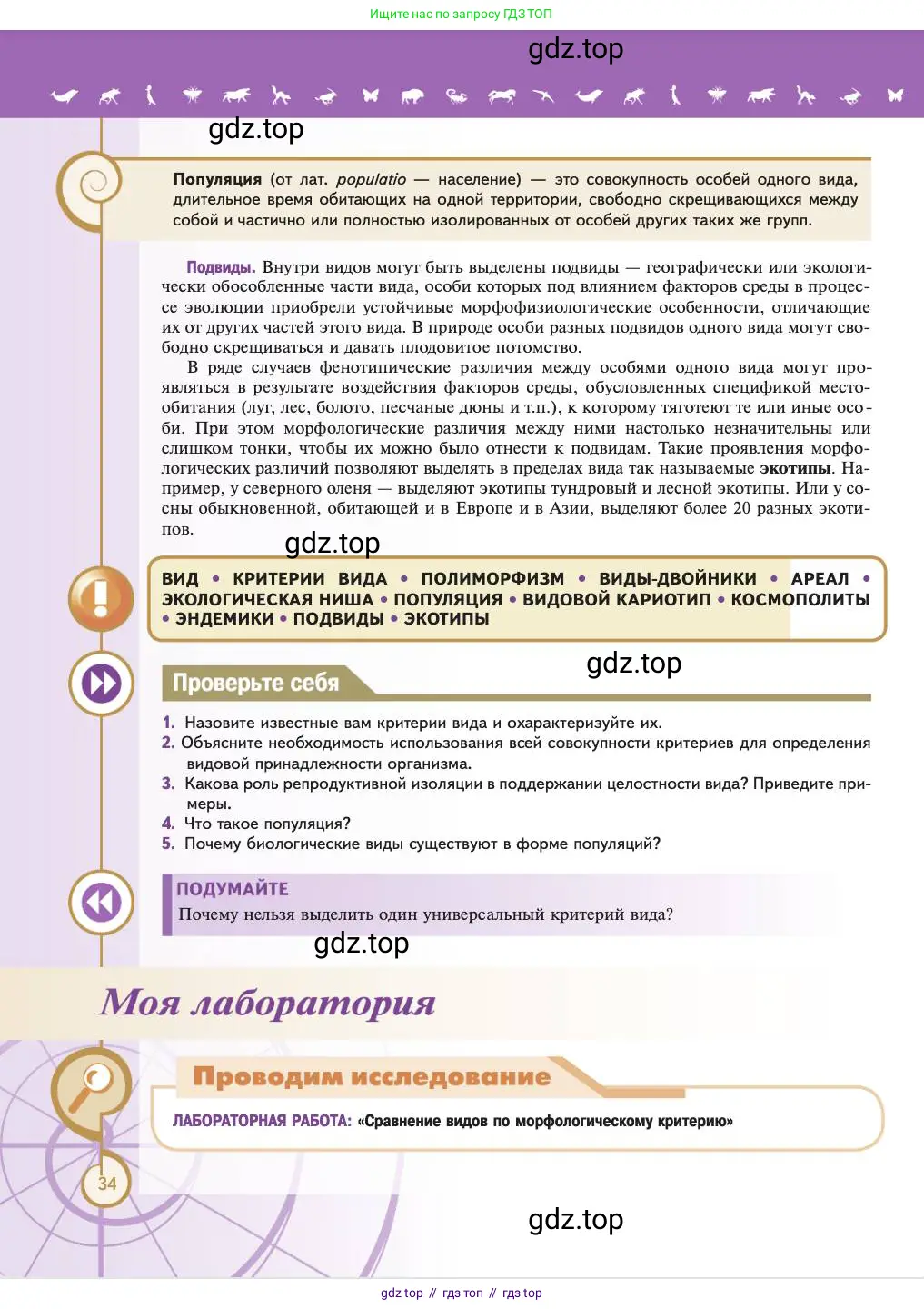 Биология, 11 класс Учебник, авторы: Пасечник Владимир Васильевич, Каменский Андрей Александрович, Рубцов Александр Михайлович, Швецов Глеб Геннадьевич, Абовян Леван Арташесович, Гапонюк Зоя Георгиевна, издательство Просвещение, Москва, 2023, страница 34