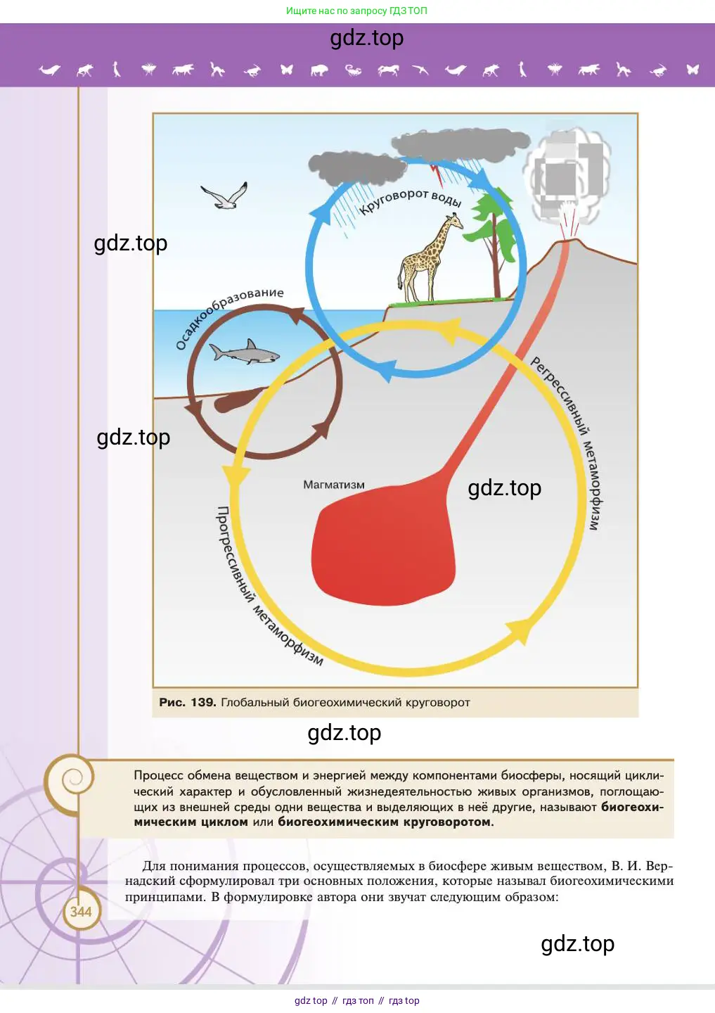 Биология, 11 класс Учебник, авторы: Пасечник Владимир Васильевич, Каменский Андрей Александрович, Рубцов Александр Михайлович, Швецов Глеб Геннадьевич, Абовян Леван Арташесович, Гапонюк Зоя Георгиевна, издательство Просвещение, Москва, 2023, страница 344