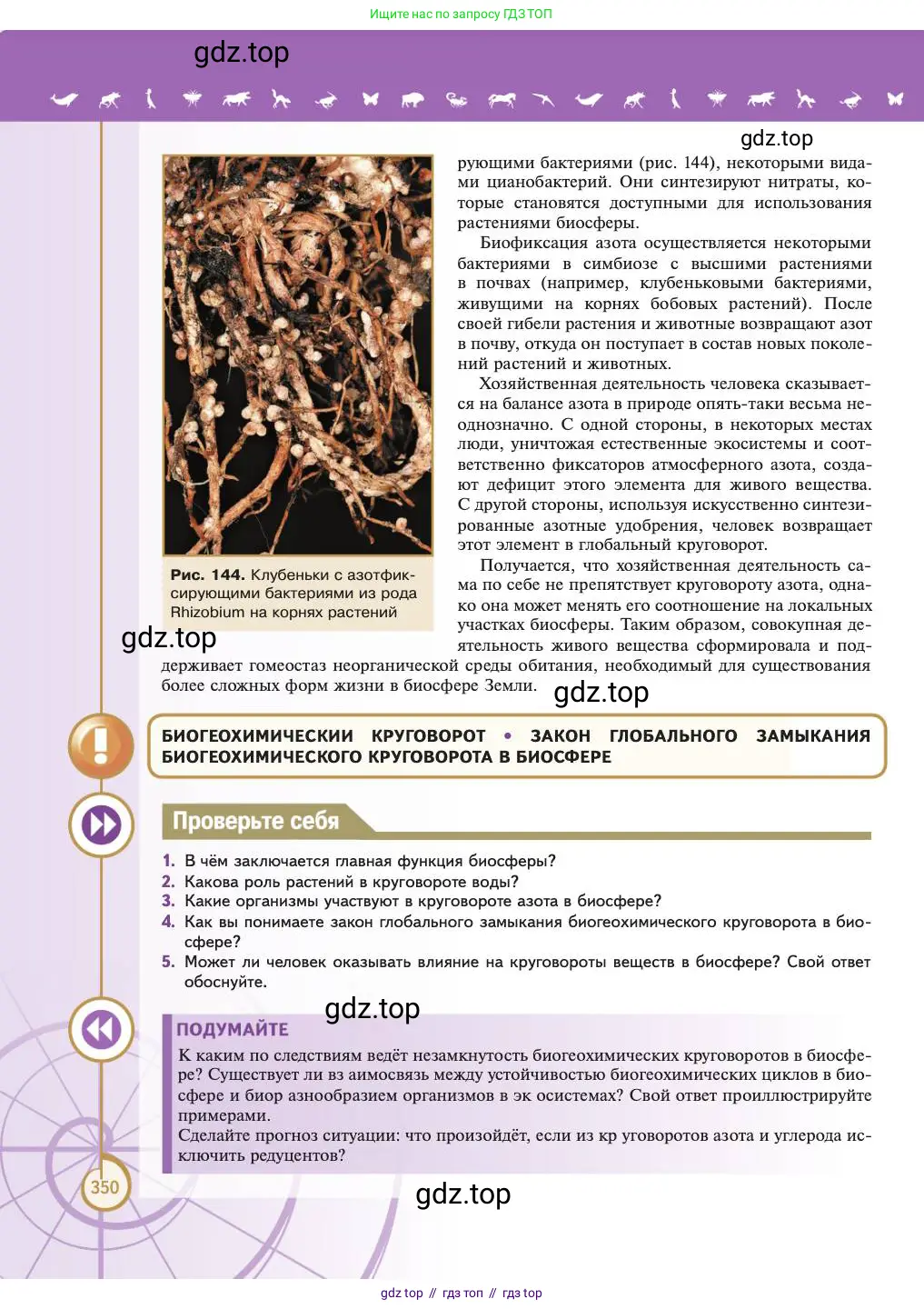 Биология, 11 класс Учебник, авторы: Пасечник Владимир Васильевич, Каменский Андрей Александрович, Рубцов Александр Михайлович, Швецов Глеб Геннадьевич, Абовян Леван Арташесович, Гапонюк Зоя Георгиевна, издательство Просвещение, Москва, 2023, страница 350