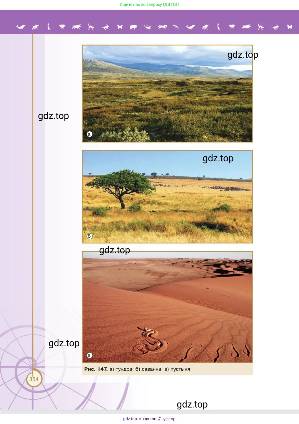 Биология, 11 класс Учебник, авторы: Пасечник Владимир Васильевич, Каменский Андрей Александрович, Рубцов Александр Михайлович, Швецов Глеб Геннадьевич, Абовян Леван Арташесович, Гапонюк Зоя Георгиевна, издательство Просвещение, Москва, 2023, страница 354