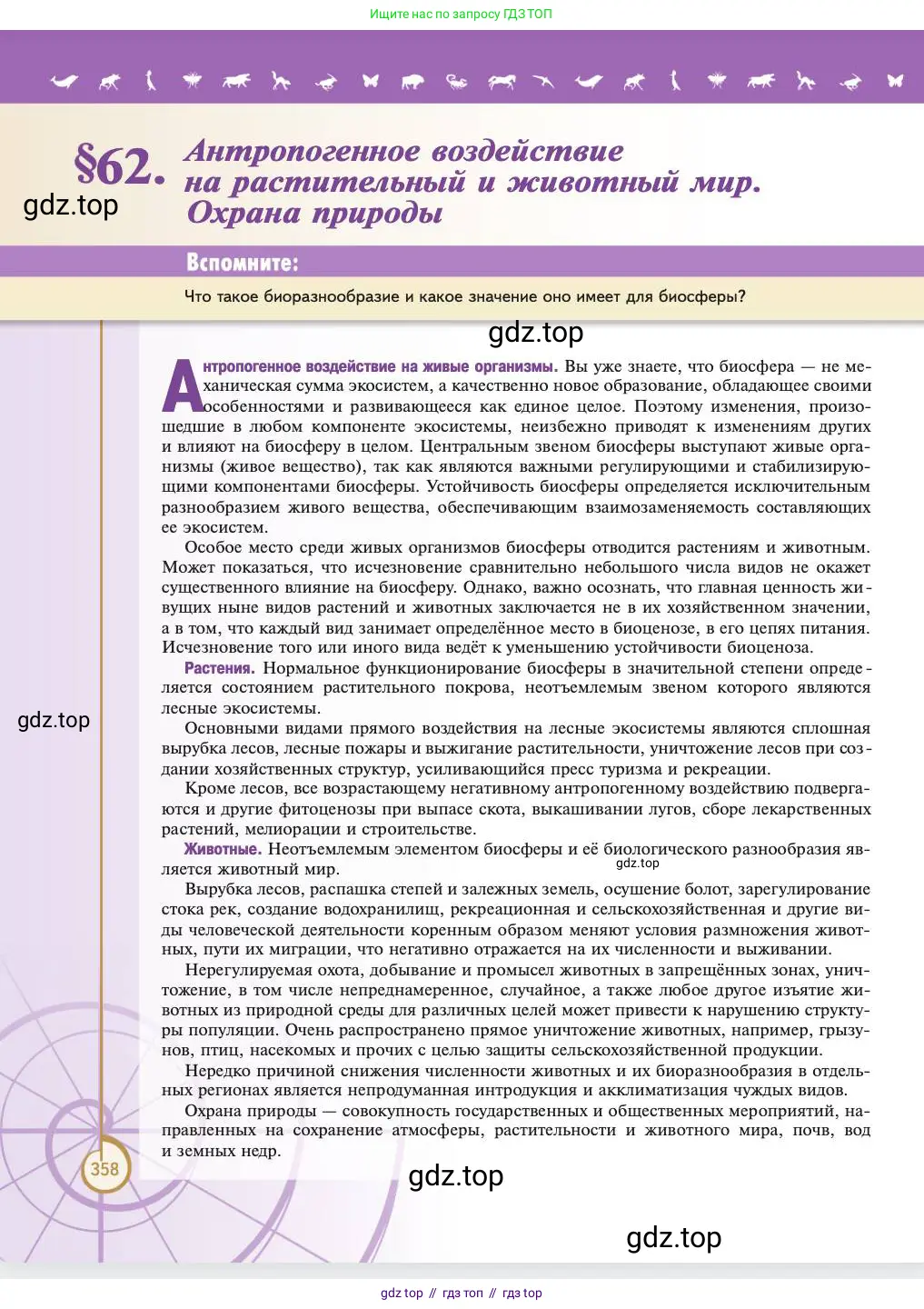 Биология, 11 класс Учебник, авторы: Пасечник Владимир Васильевич, Каменский Андрей Александрович, Рубцов Александр Михайлович, Швецов Глеб Геннадьевич, Абовян Леван Арташесович, Гапонюк Зоя Георгиевна, издательство Просвещение, Москва, 2023, страница 358