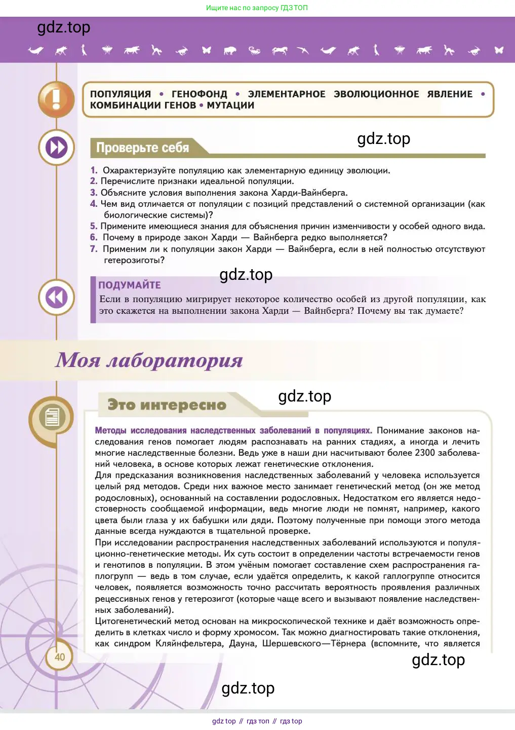 Биология, 11 класс Учебник, авторы: Пасечник Владимир Васильевич, Каменский Андрей Александрович, Рубцов Александр Михайлович, Швецов Глеб Геннадьевич, Абовян Леван Арташесович, Гапонюк Зоя Георгиевна, издательство Просвещение, Москва, 2023, страница 40