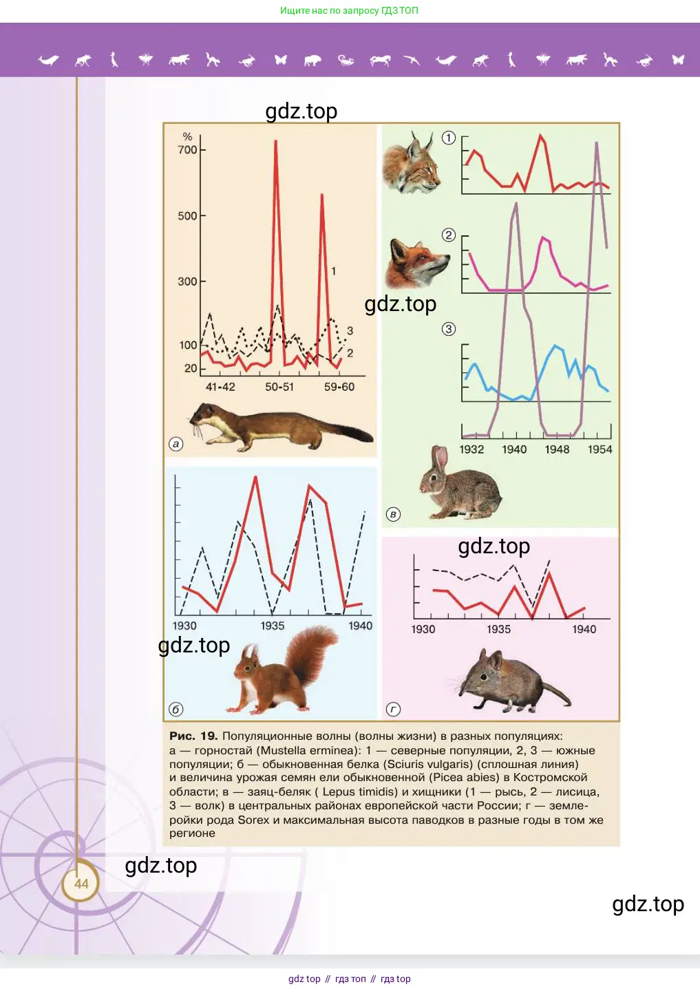 Биология, 11 класс Учебник, авторы: Пасечник Владимир Васильевич, Каменский Андрей Александрович, Рубцов Александр Михайлович, Швецов Глеб Геннадьевич, Абовян Леван Арташесович, Гапонюк Зоя Георгиевна, издательство Просвещение, Москва, 2023, страница 44
