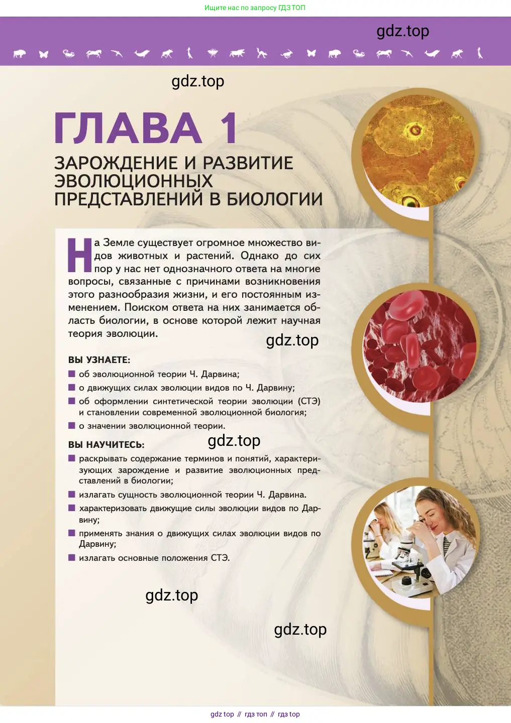 Биология, 11 класс Учебник, авторы: Пасечник Владимир Васильевич, Каменский Андрей Александрович, Рубцов Александр Михайлович, Швецов Глеб Геннадьевич, Абовян Леван Арташесович, Гапонюк Зоя Георгиевна, издательство Просвещение, Москва, 2023, страница 5