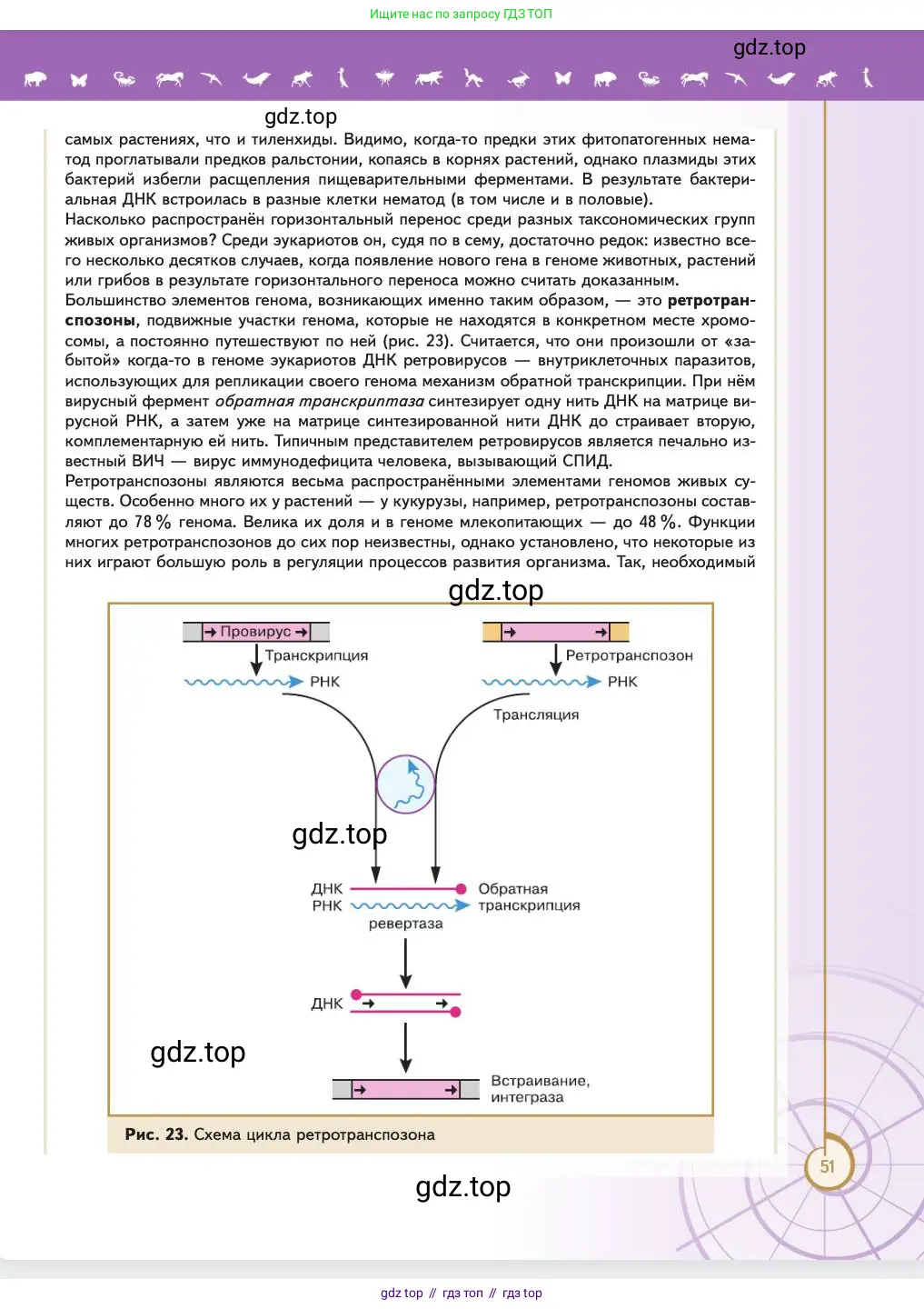 Биология, 11 класс Учебник, авторы: Пасечник Владимир Васильевич, Каменский Андрей Александрович, Рубцов Александр Михайлович, Швецов Глеб Геннадьевич, Абовян Леван Арташесович, Гапонюк Зоя Георгиевна, издательство Просвещение, Москва, 2023, страница 51