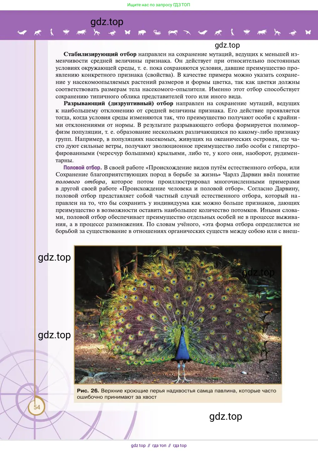 Биология, 11 класс Учебник, авторы: Пасечник Владимир Васильевич, Каменский Андрей Александрович, Рубцов Александр Михайлович, Швецов Глеб Геннадьевич, Абовян Леван Арташесович, Гапонюк Зоя Георгиевна, издательство Просвещение, Москва, 2023, страница 54