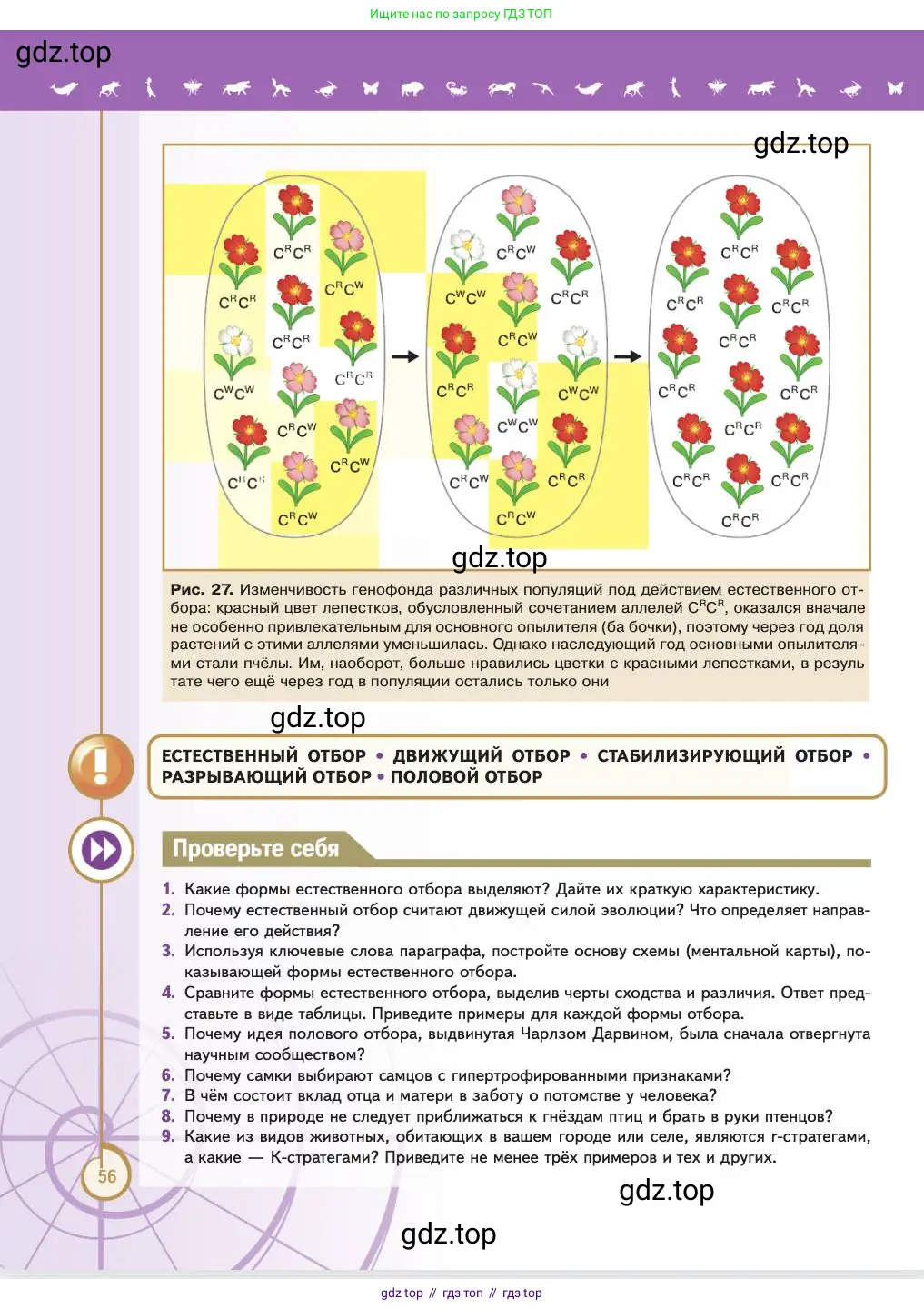 Биология, 11 класс Учебник, авторы: Пасечник Владимир Васильевич, Каменский Андрей Александрович, Рубцов Александр Михайлович, Швецов Глеб Геннадьевич, Абовян Леван Арташесович, Гапонюк Зоя Георгиевна, издательство Просвещение, Москва, 2023, страница 56