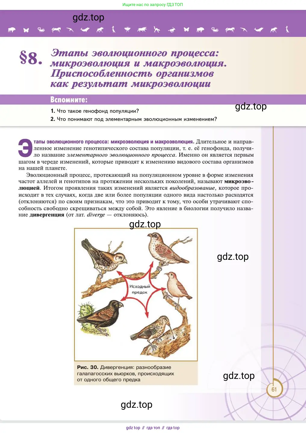 Биология, 11 класс Учебник, авторы: Пасечник Владимир Васильевич, Каменский Андрей Александрович, Рубцов Александр Михайлович, Швецов Глеб Геннадьевич, Абовян Леван Арташесович, Гапонюк Зоя Георгиевна, издательство Просвещение, Москва, 2023, страница 61