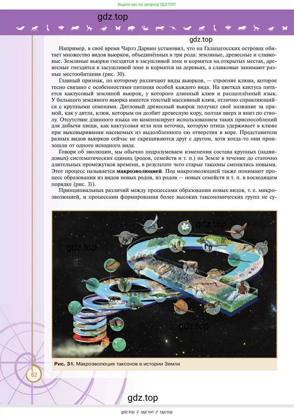 Биология, 11 класс Учебник, авторы: Пасечник Владимир Васильевич, Каменский Андрей Александрович, Рубцов Александр Михайлович, Швецов Глеб Геннадьевич, Абовян Леван Арташесович, Гапонюк Зоя Георгиевна, издательство Просвещение, Москва, 2023, страница 62