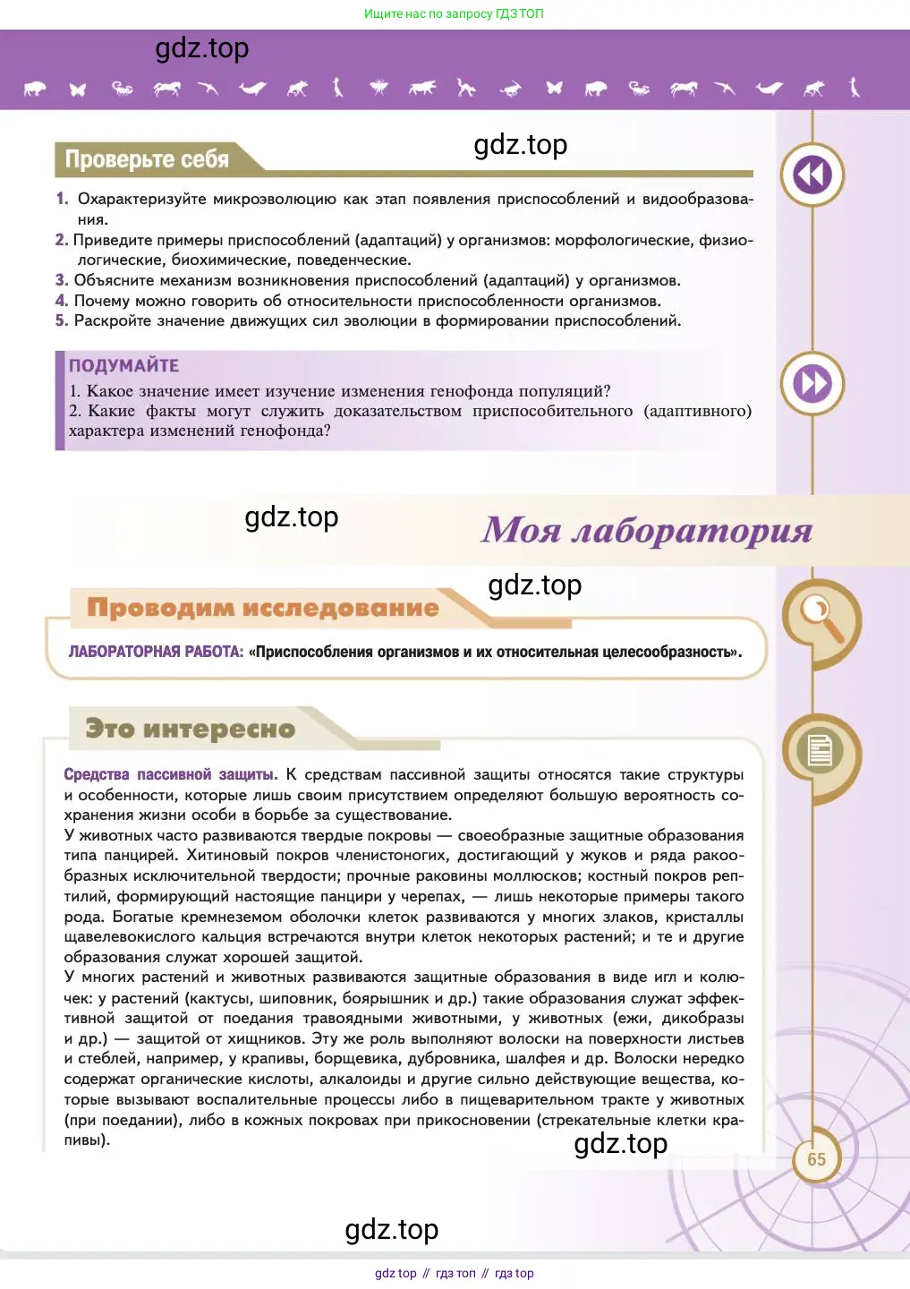 Биология, 11 класс Учебник, авторы: Пасечник Владимир Васильевич, Каменский Андрей Александрович, Рубцов Александр Михайлович, Швецов Глеб Геннадьевич, Абовян Леван Арташесович, Гапонюк Зоя Георгиевна, издательство Просвещение, Москва, 2023, страница 65