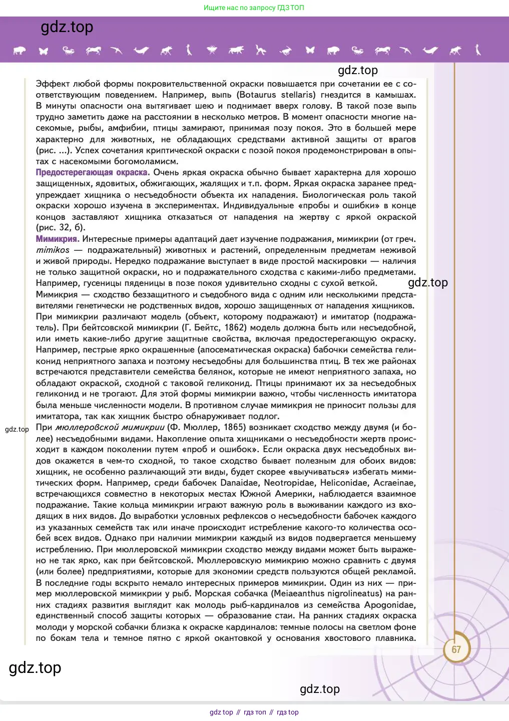Биология, 11 класс Учебник, авторы: Пасечник Владимир Васильевич, Каменский Андрей Александрович, Рубцов Александр Михайлович, Швецов Глеб Геннадьевич, Абовян Леван Арташесович, Гапонюк Зоя Георгиевна, издательство Просвещение, Москва, 2023, страница 67