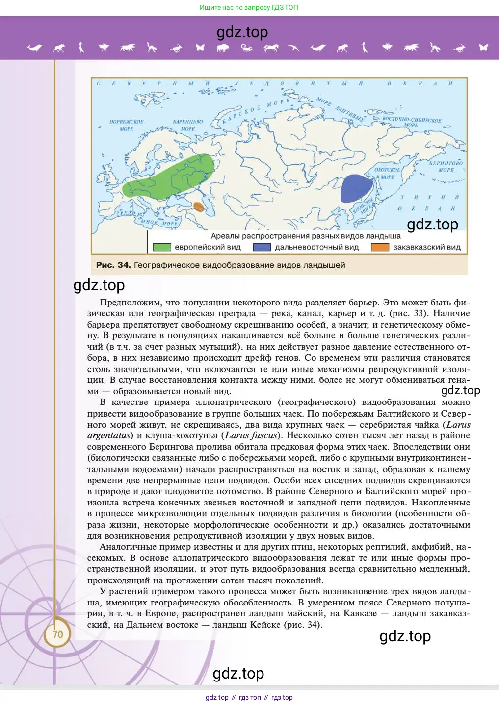 Биология, 11 класс Учебник, авторы: Пасечник Владимир Васильевич, Каменский Андрей Александрович, Рубцов Александр Михайлович, Швецов Глеб Геннадьевич, Абовян Леван Арташесович, Гапонюк Зоя Георгиевна, издательство Просвещение, Москва, 2023, страница 70