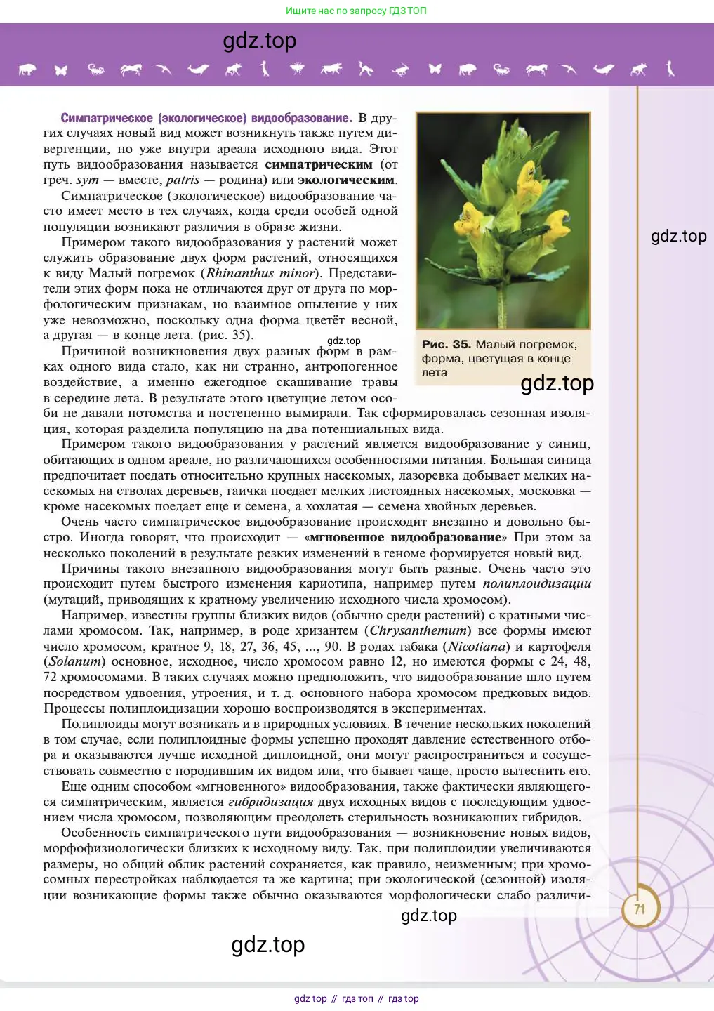 Биология, 11 класс Учебник, авторы: Пасечник Владимир Васильевич, Каменский Андрей Александрович, Рубцов Александр Михайлович, Швецов Глеб Геннадьевич, Абовян Леван Арташесович, Гапонюк Зоя Георгиевна, издательство Просвещение, Москва, 2023, страница 71