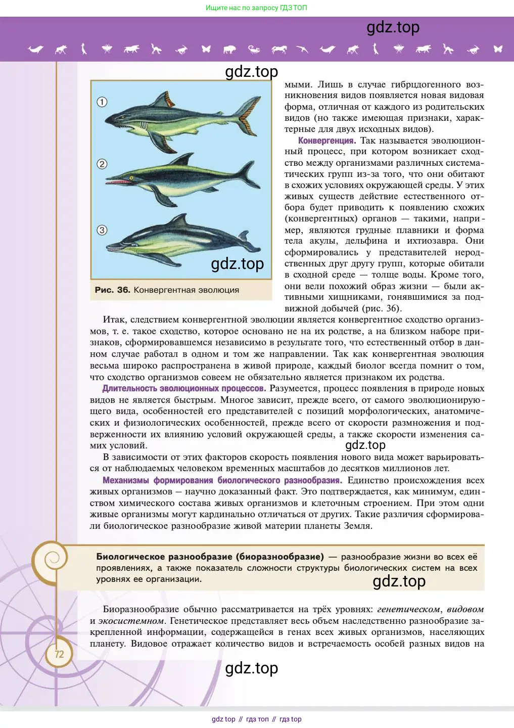 Биология, 11 класс Учебник, авторы: Пасечник Владимир Васильевич, Каменский Андрей Александрович, Рубцов Александр Михайлович, Швецов Глеб Геннадьевич, Абовян Леван Арташесович, Гапонюк Зоя Георгиевна, издательство Просвещение, Москва, 2023, страница 72