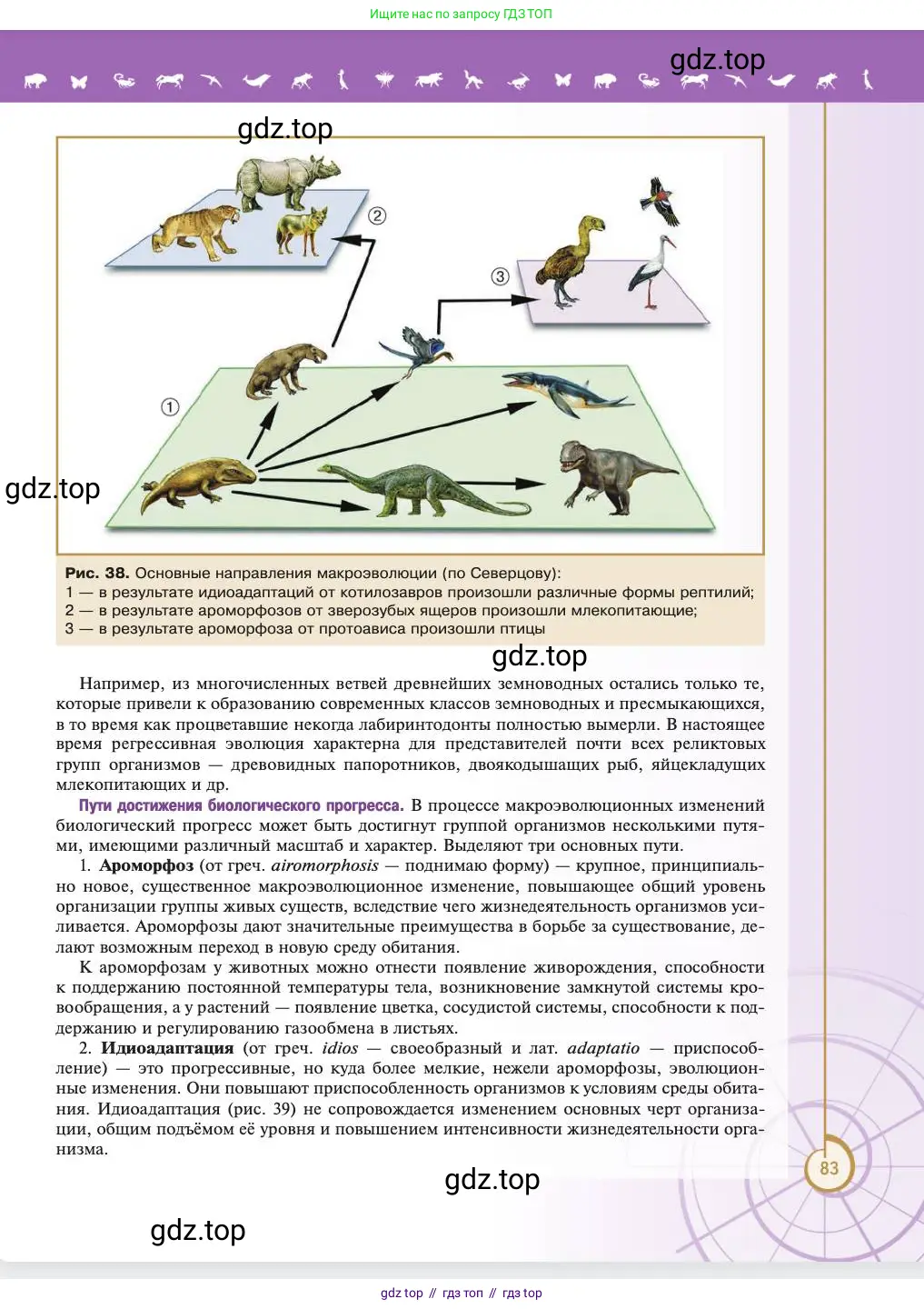 Биология, 11 класс Учебник, авторы: Пасечник Владимир Васильевич, Каменский Андрей Александрович, Рубцов Александр Михайлович, Швецов Глеб Геннадьевич, Абовян Леван Арташесович, Гапонюк Зоя Георгиевна, издательство Просвещение, Москва, 2023, страница 83